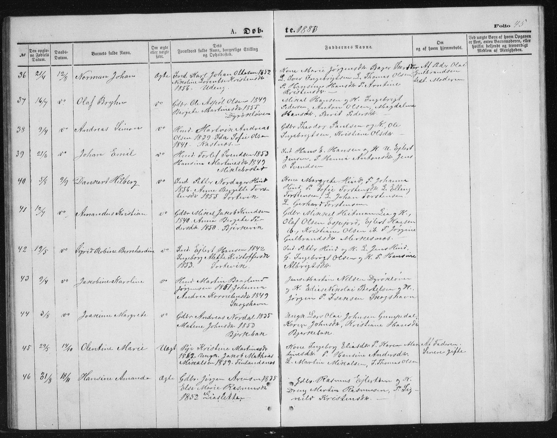 Tranøy sokneprestkontor, AV/SATØ-S-1313/I/Ia/Iab/L0013klokker: Parish register (copy) no. 13, 1874-1896, p. 45