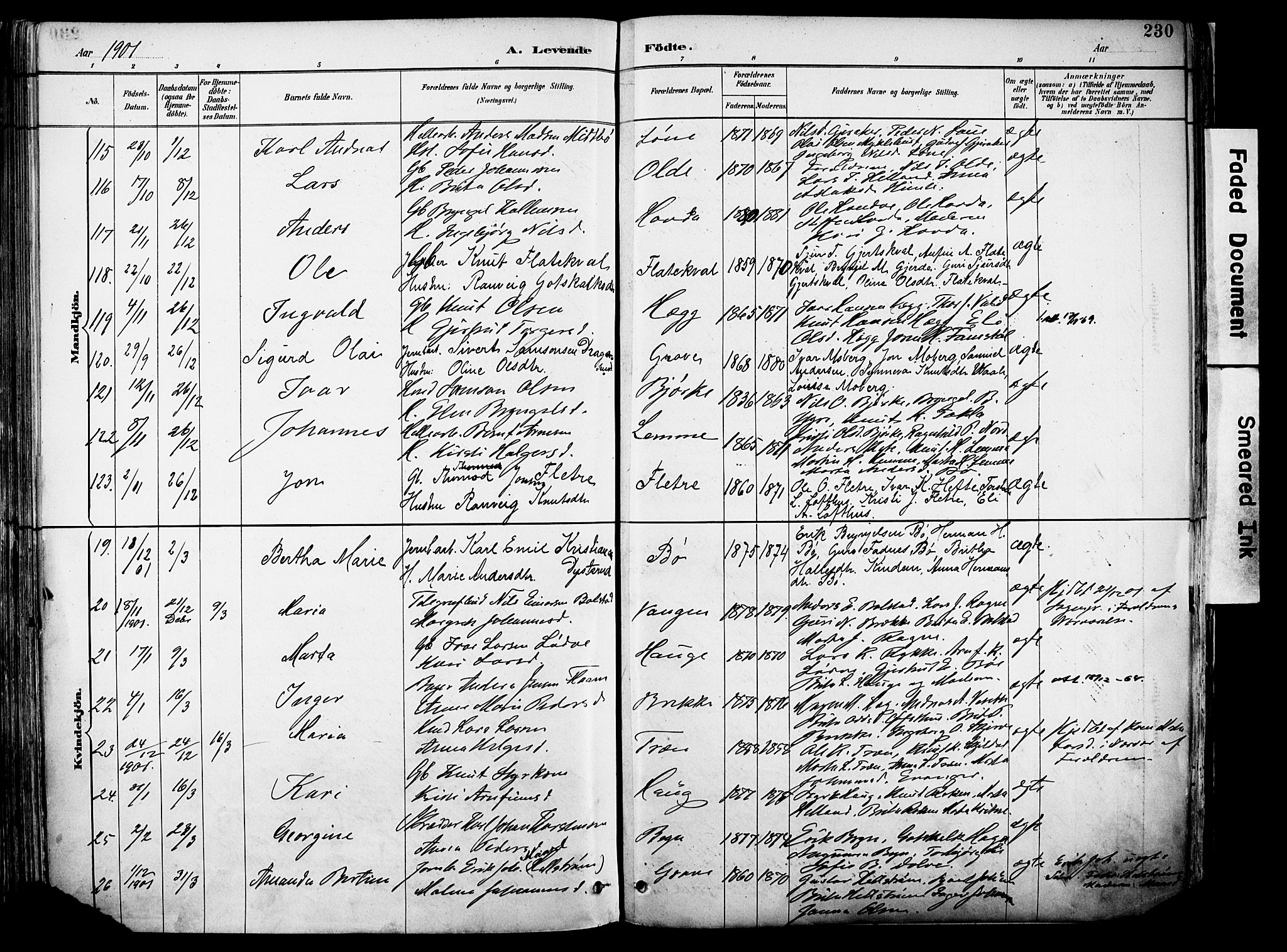 Voss sokneprestembete, AV/SAB-A-79001/H/Haa: Parish register (official) no. A 21, 1887-1903, p. 230