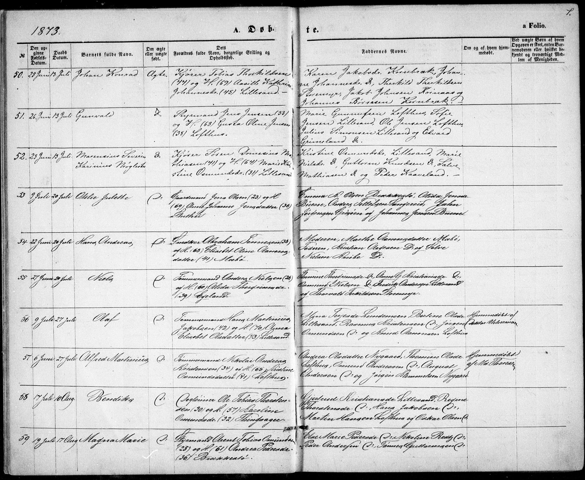 Vestre Moland sokneprestkontor, AV/SAK-1111-0046/F/Fb/Fbb/L0005: Parish register (copy) no. B 5, 1872-1883, p. 7