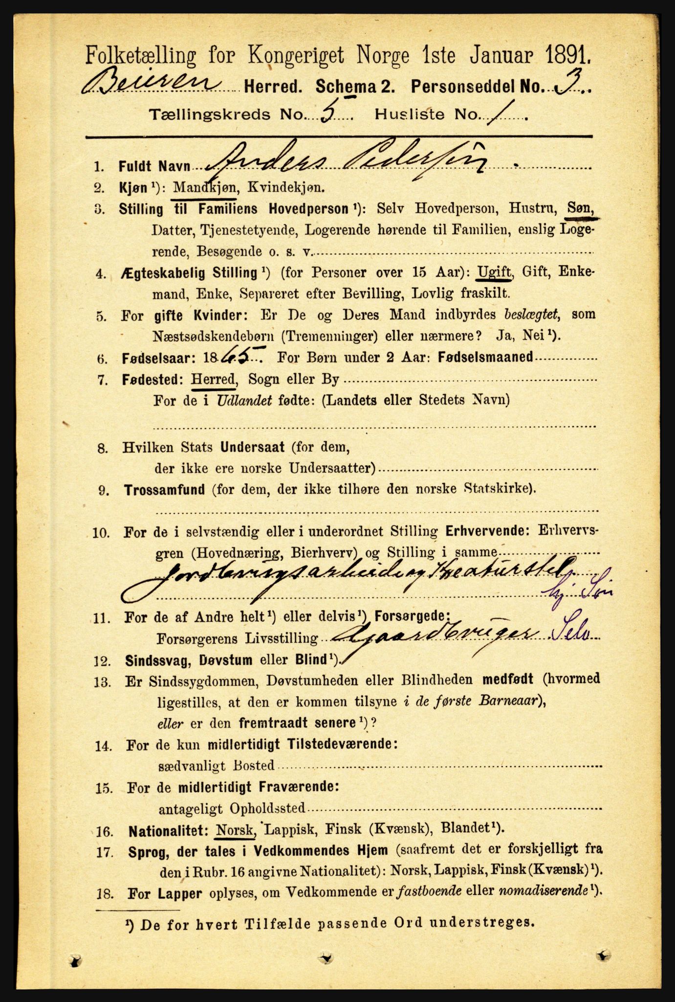 RA, 1891 census for 1839 Beiarn, 1891, p. 1733