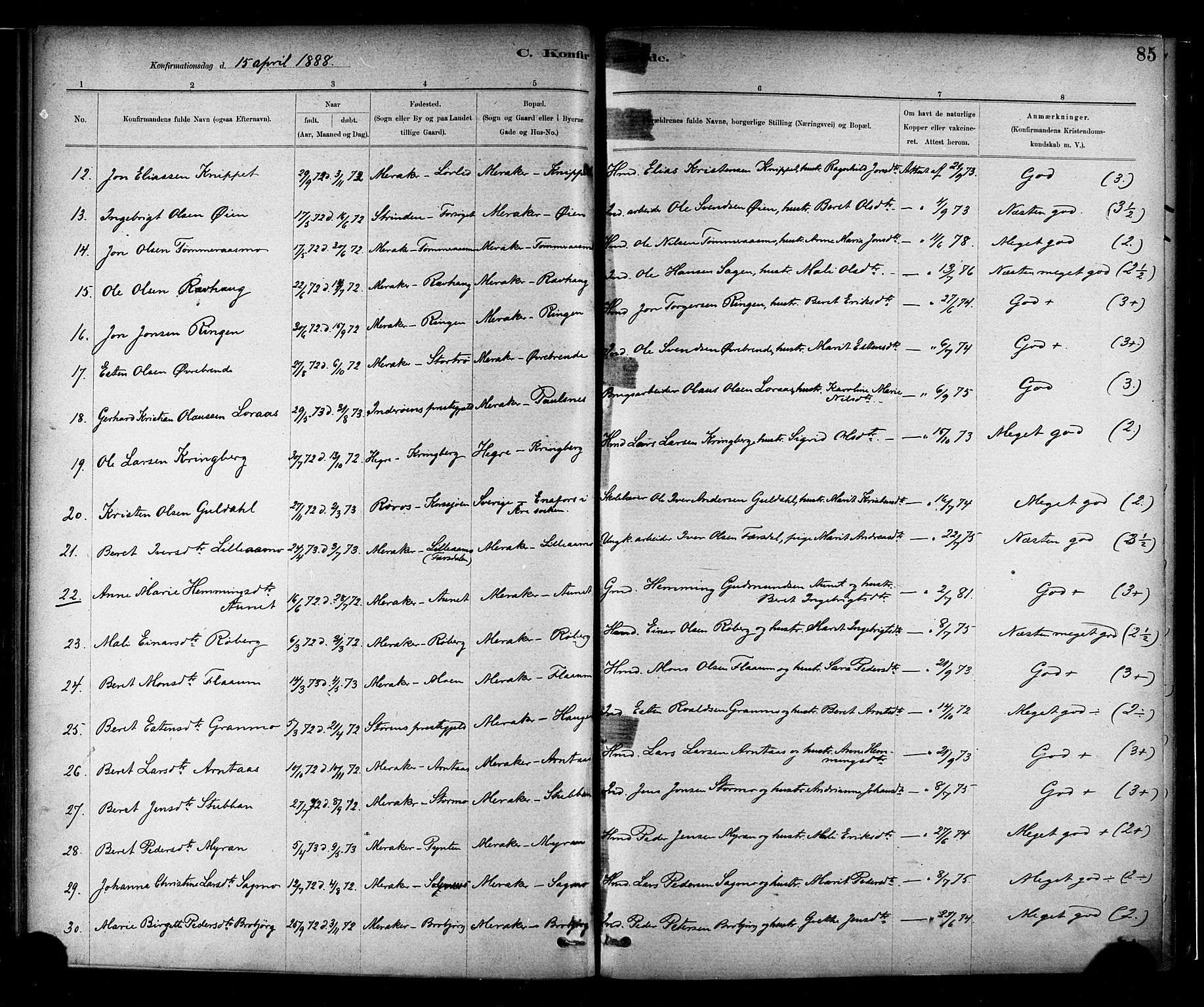 Ministerialprotokoller, klokkerbøker og fødselsregistre - Nord-Trøndelag, SAT/A-1458/706/L0047: Parish register (official) no. 706A03, 1878-1892, p. 85