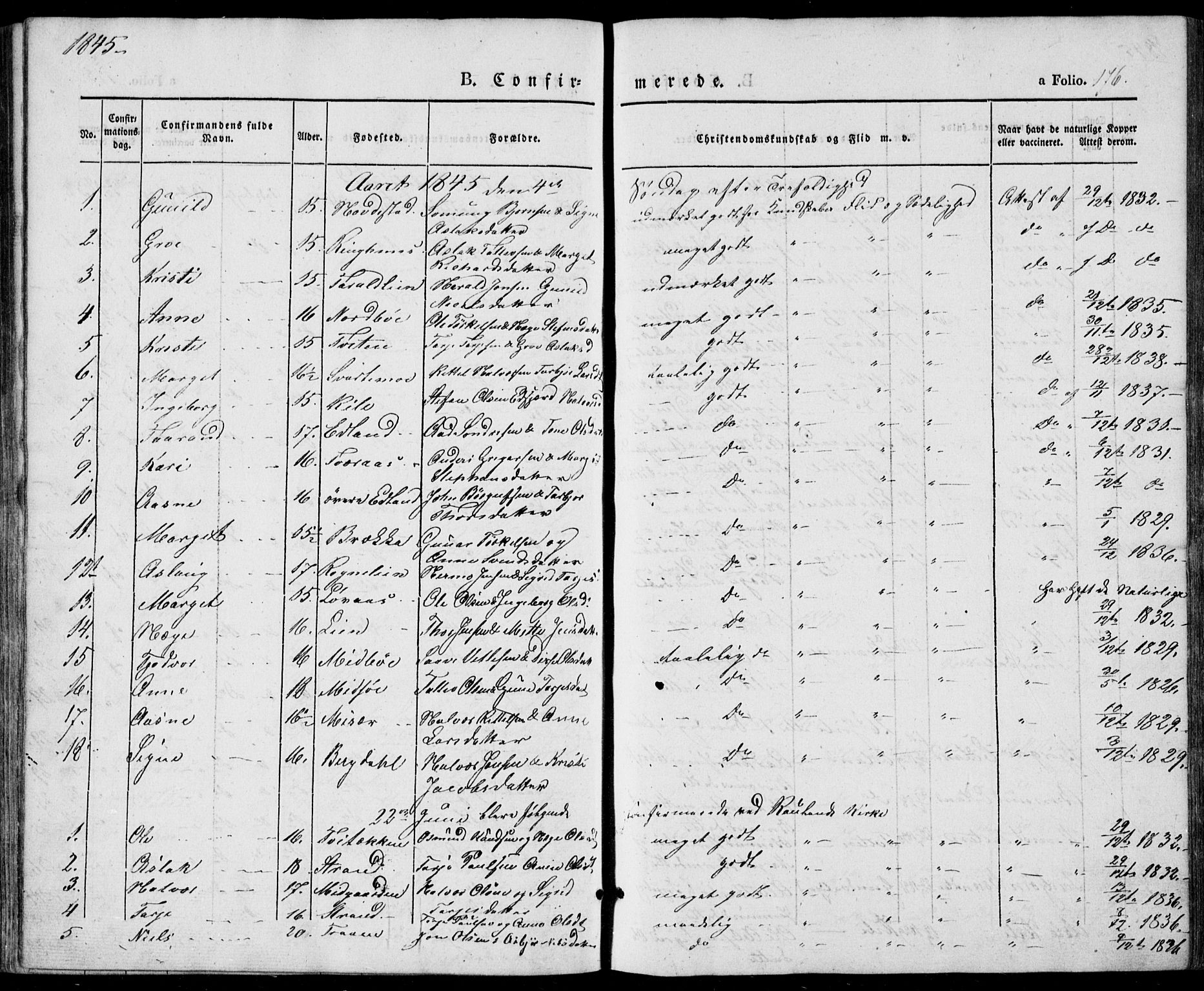 Vinje kirkebøker, AV/SAKO-A-312/F/Fa/L0004: Parish register (official) no. I 4, 1843-1869, p. 176