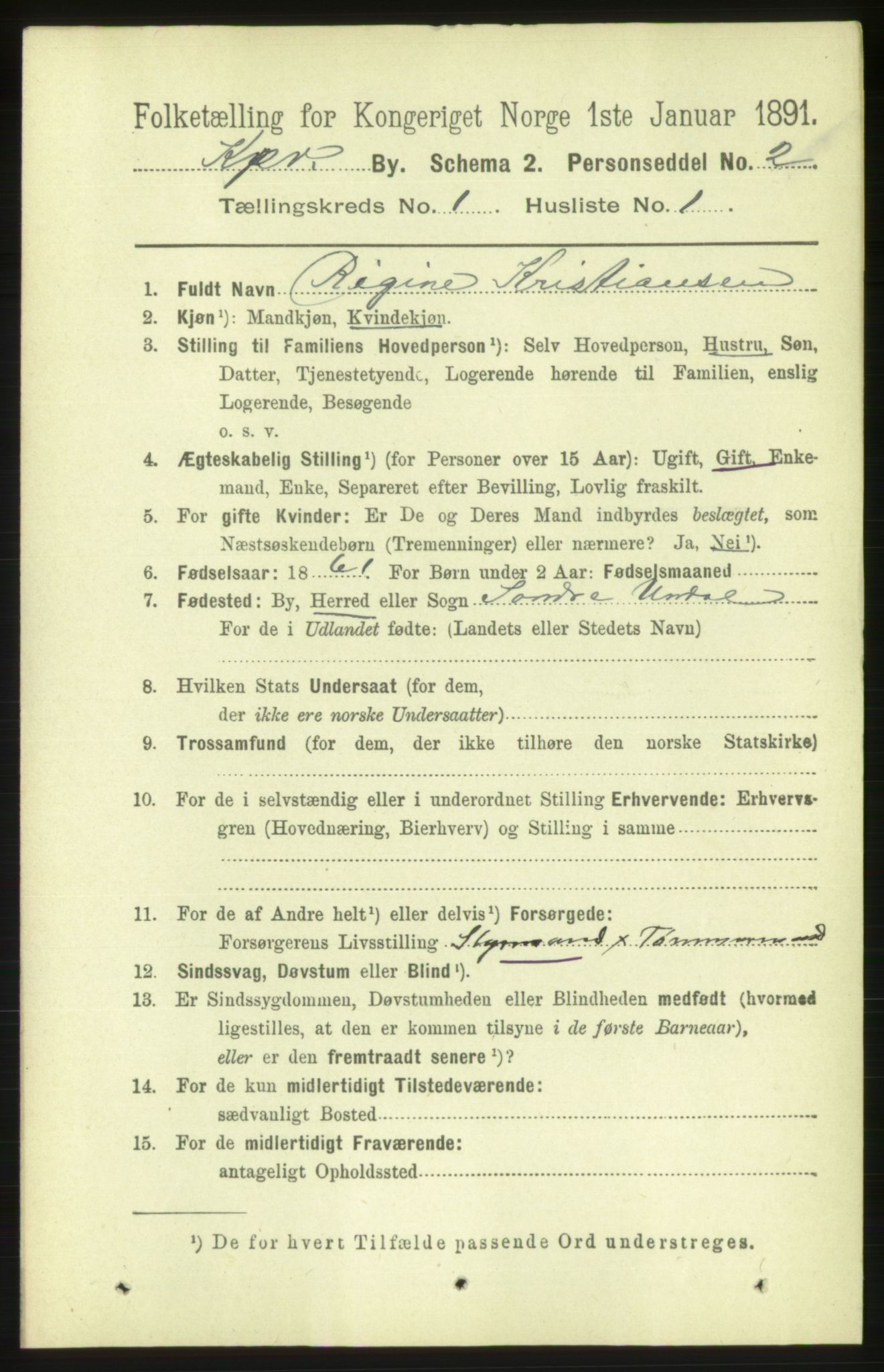 RA, 1891 census for 1105 Kopervik, 1891, p. 18