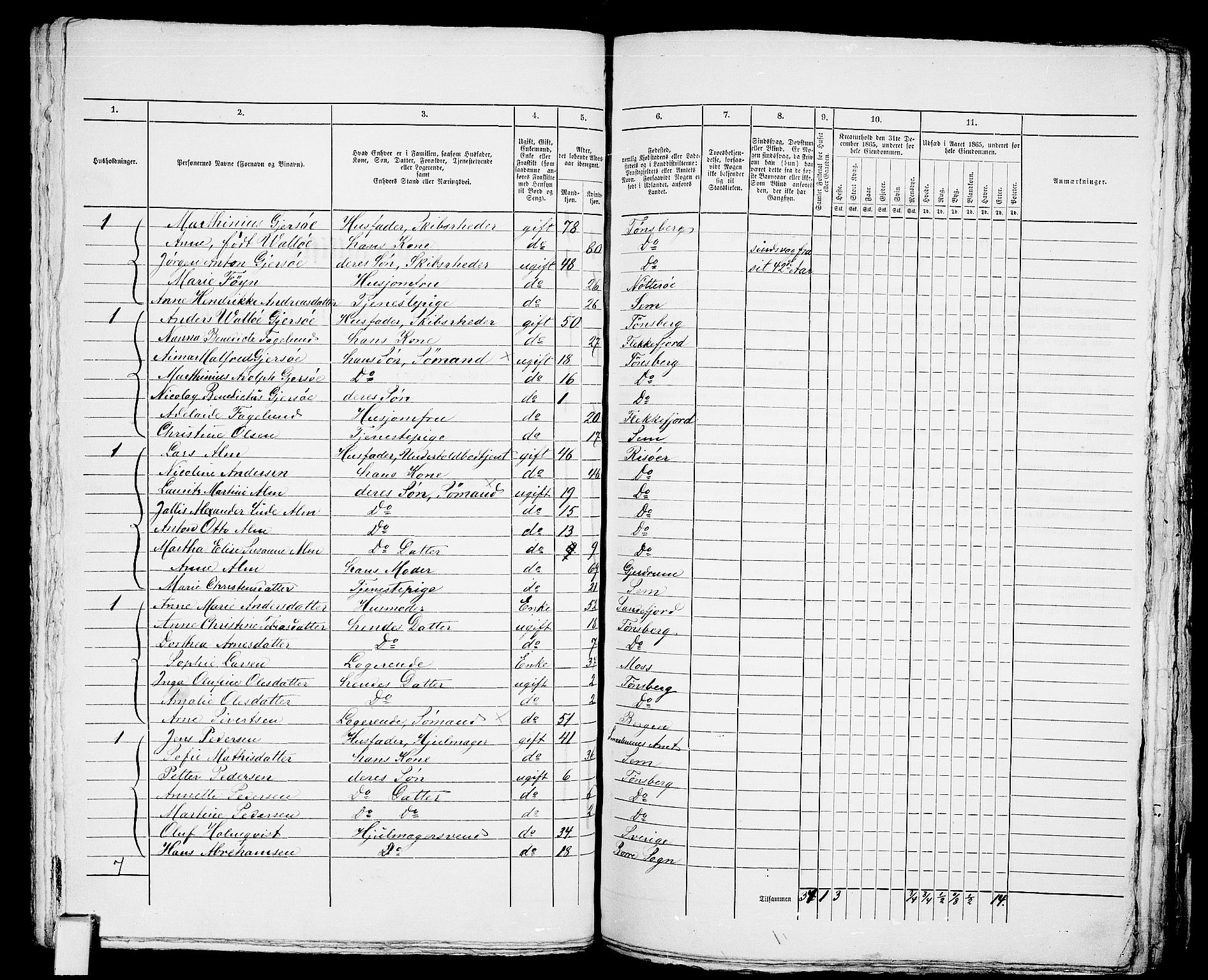 RA, 1865 census for Tønsberg, 1865, p. 531