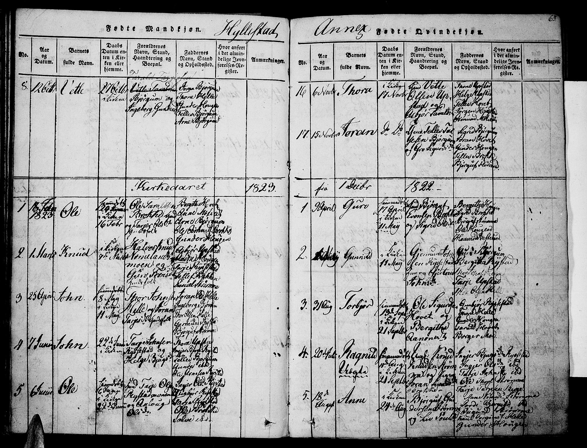 Valle sokneprestkontor, SAK/1111-0044/F/Fa/Fac/L0005: Parish register (official) no. A 5 /2, 1817-1831, p. 63