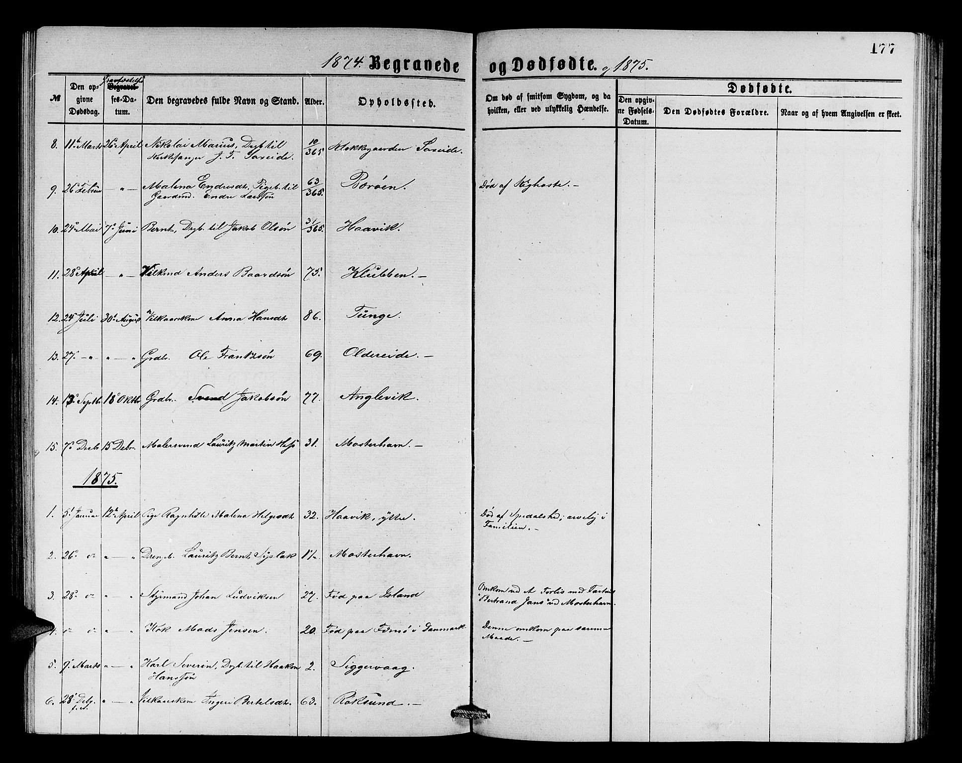 Finnås sokneprestembete, SAB/A-99925/H/Ha/Hab/Haba/L0002: Parish register (copy) no. A 2, 1873-1882, p. 177