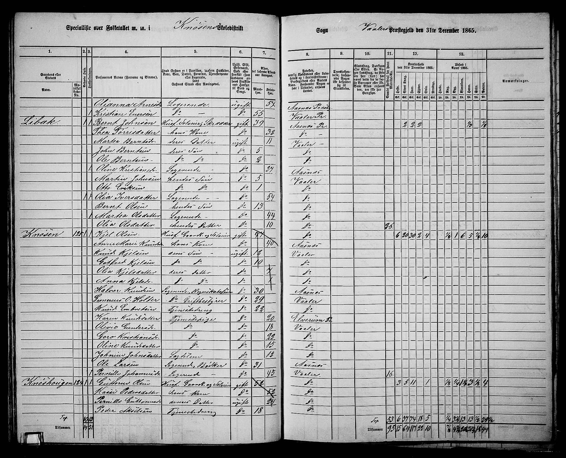 RA, 1865 census for Våler, 1865, p. 69