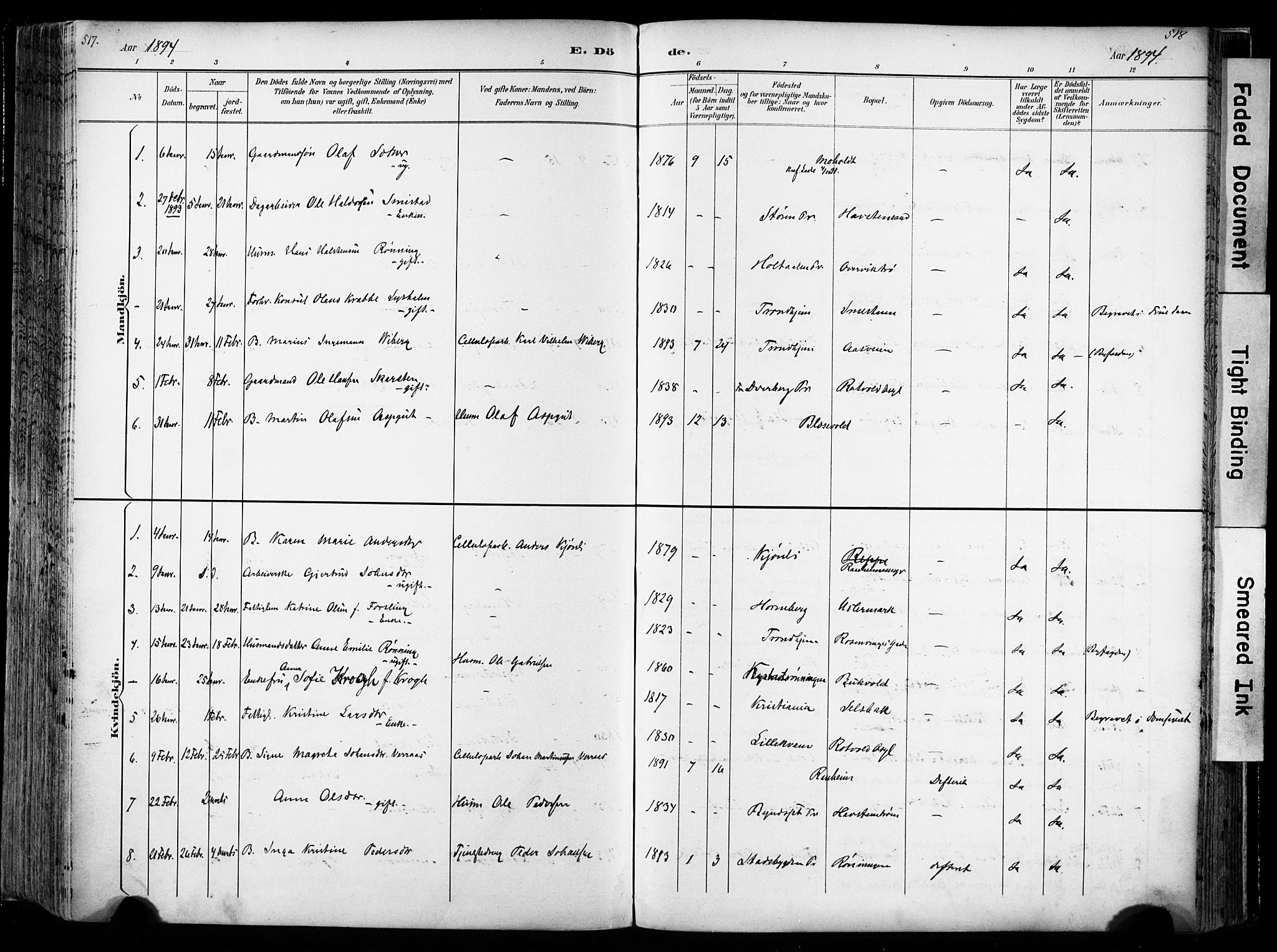 Ministerialprotokoller, klokkerbøker og fødselsregistre - Sør-Trøndelag, AV/SAT-A-1456/606/L0301: Parish register (official) no. 606A16, 1894-1907, p. 517-518