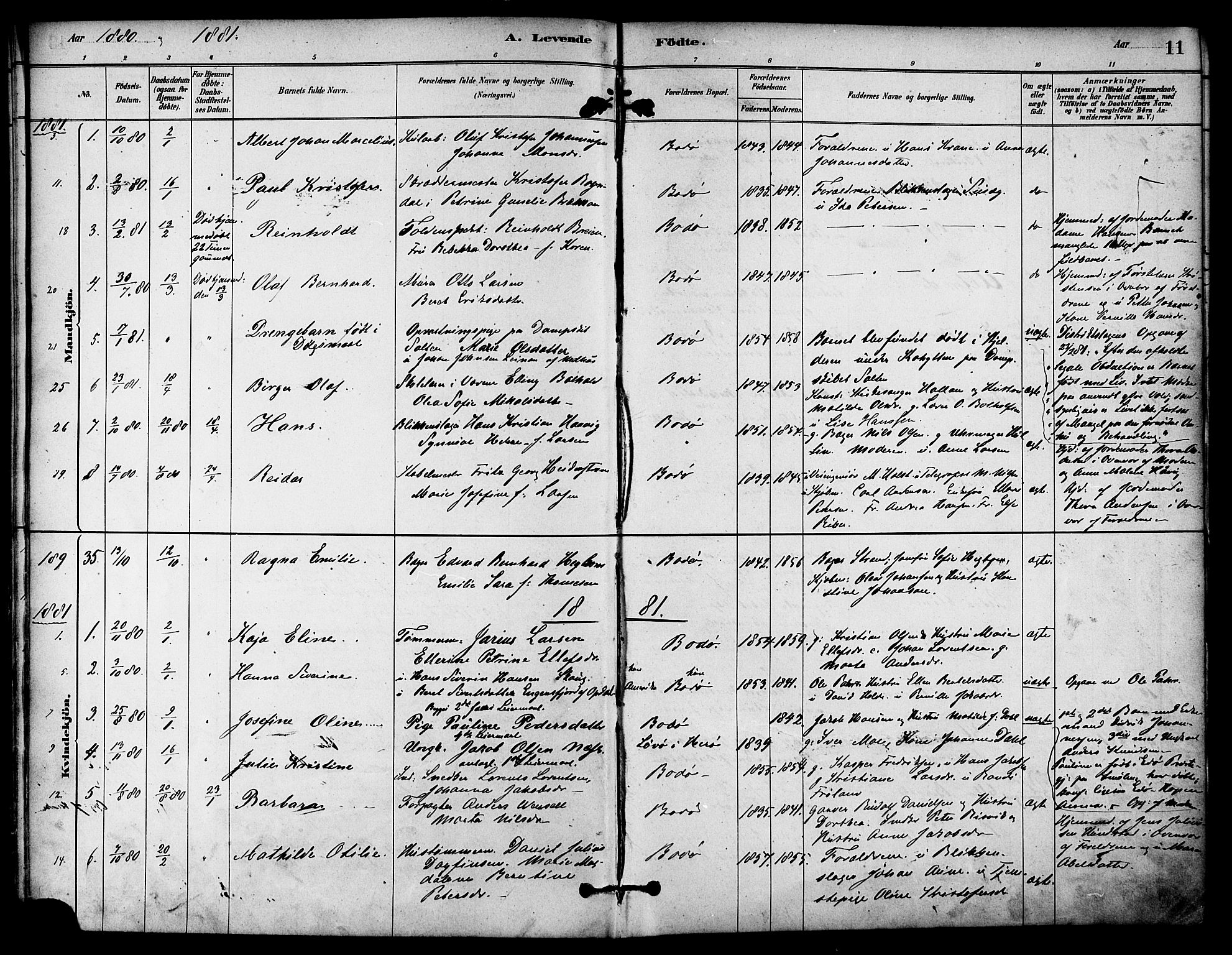 Ministerialprotokoller, klokkerbøker og fødselsregistre - Nordland, AV/SAT-A-1459/801/L0030: Parish register (copy) no. 801C05, 1879-1887, p. 11