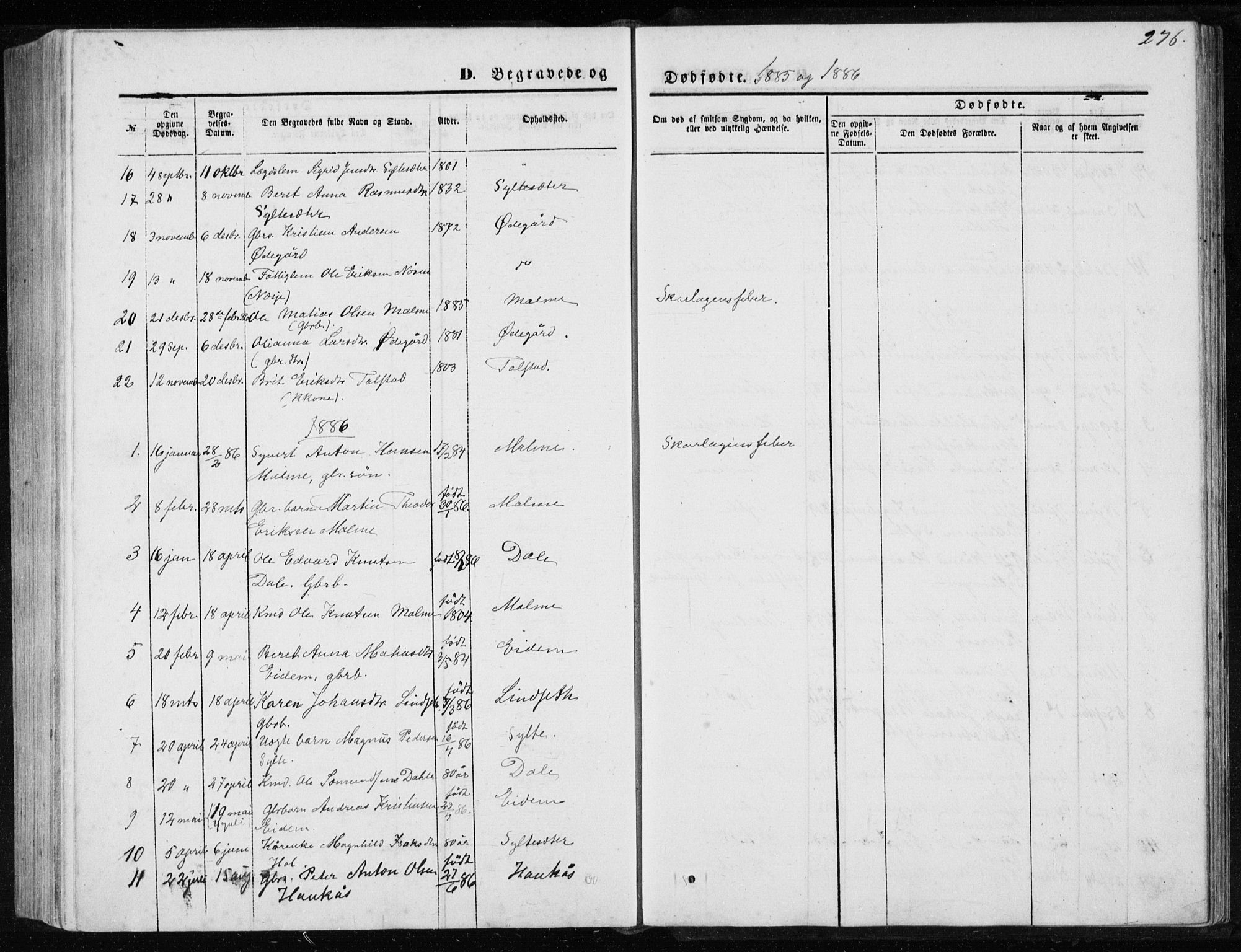 Ministerialprotokoller, klokkerbøker og fødselsregistre - Møre og Romsdal, SAT/A-1454/565/L0754: Parish register (copy) no. 565C03, 1870-1896, p. 276
