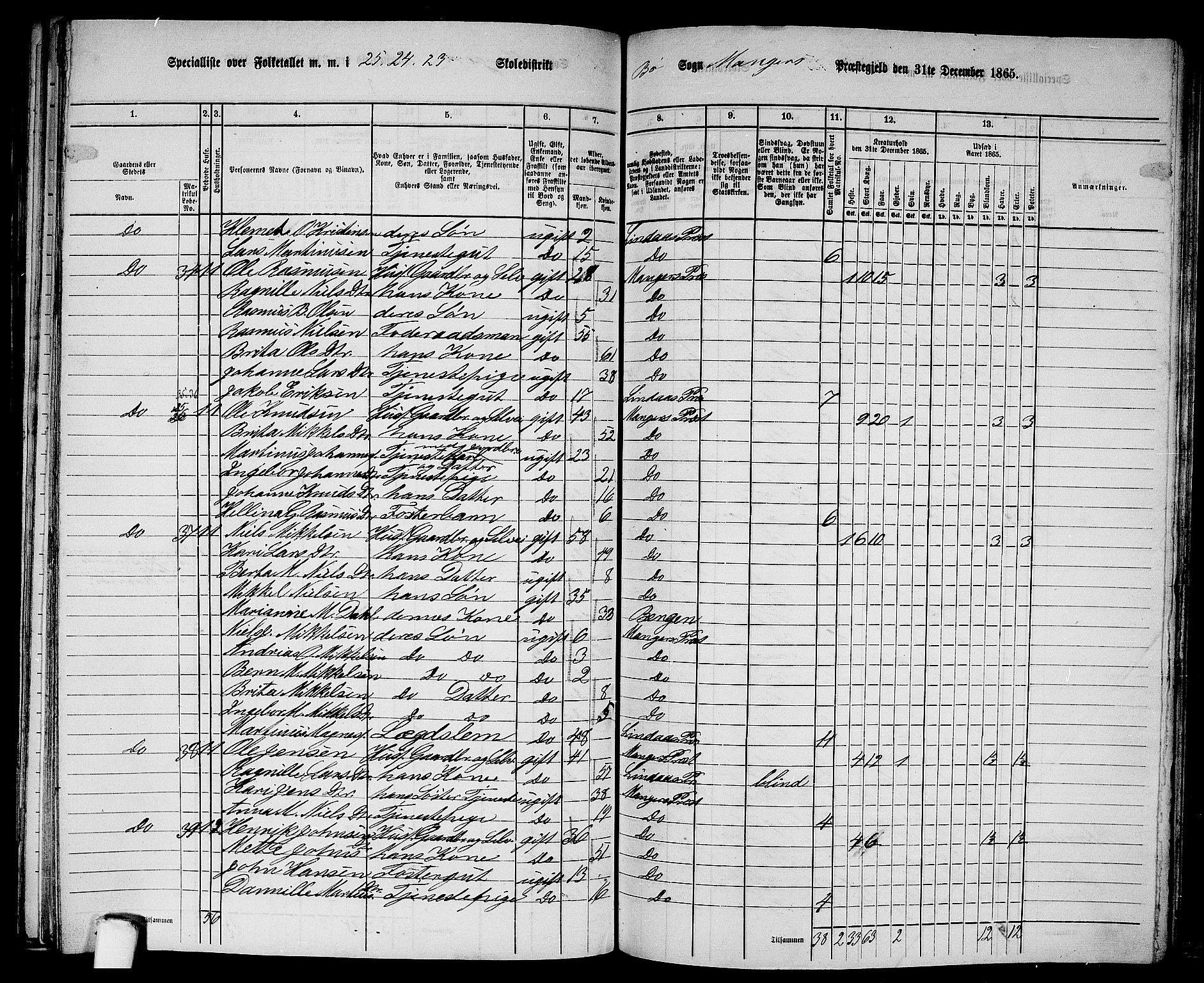 RA, 1865 census for Manger, 1865, p. 256