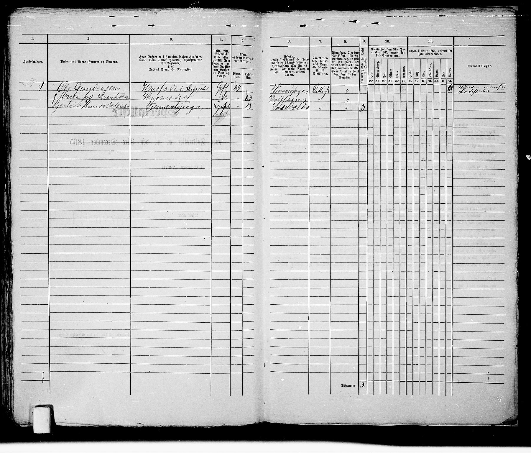 RA, 1865 census for Holt/Tvedestrand, 1865, p. 323