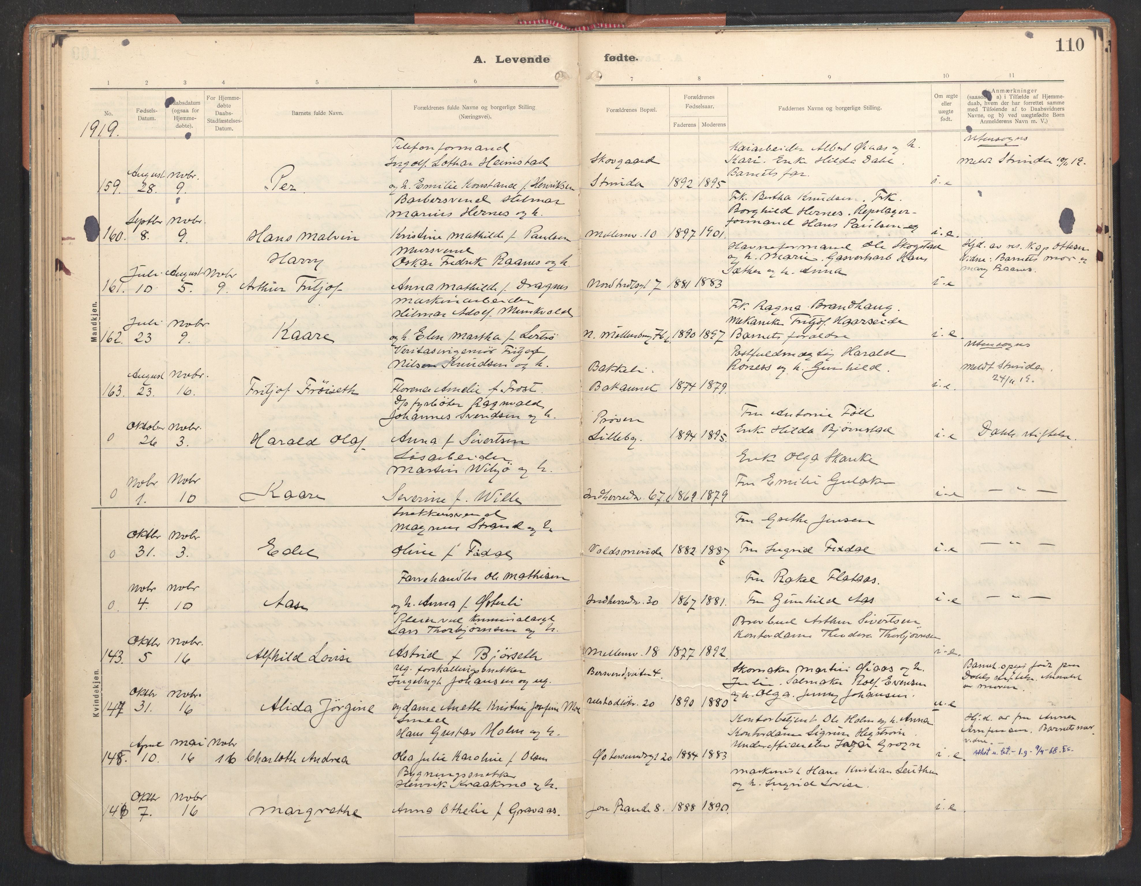 Ministerialprotokoller, klokkerbøker og fødselsregistre - Sør-Trøndelag, SAT/A-1456/605/L0246: Parish register (official) no. 605A08, 1916-1920, p. 110