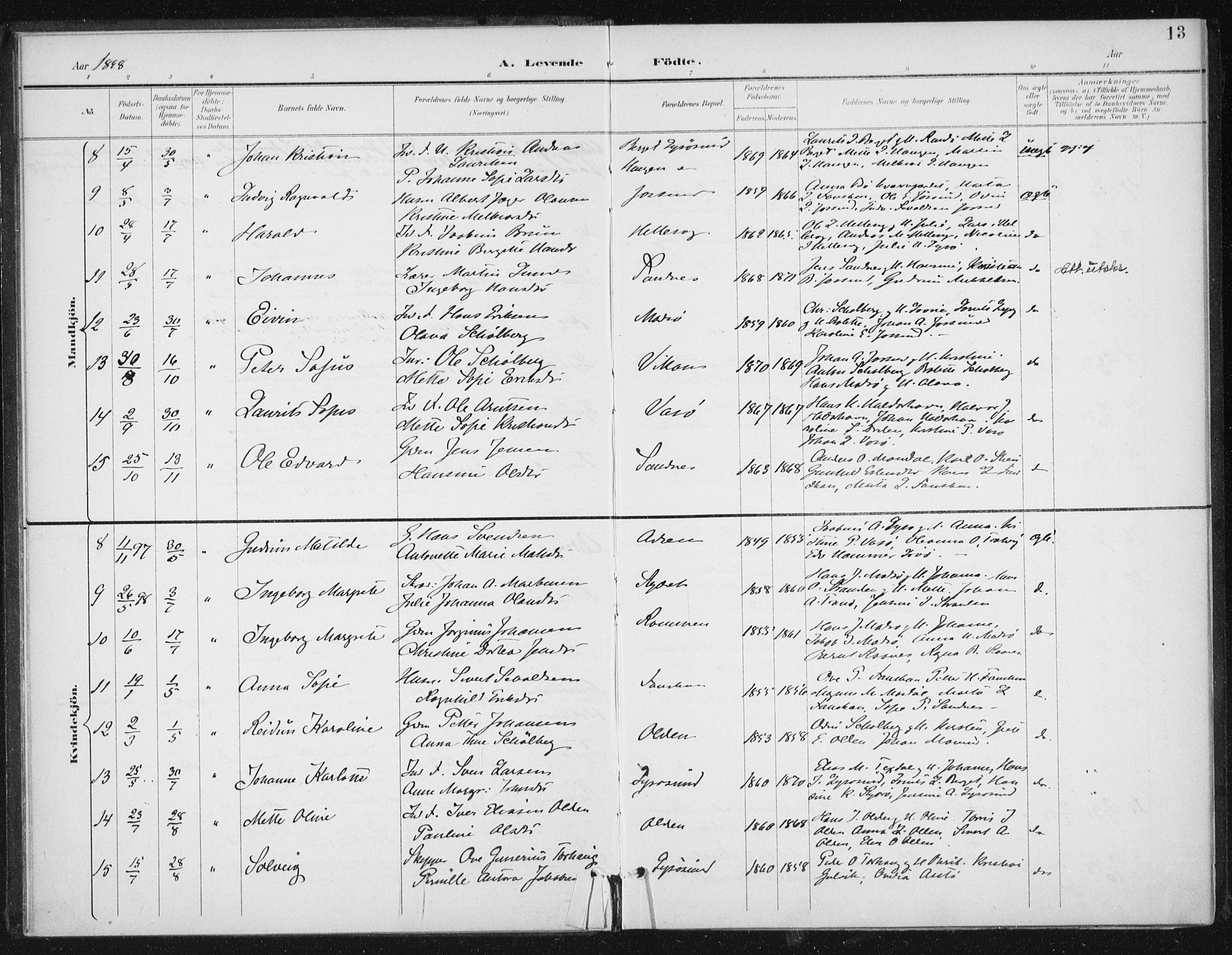 Ministerialprotokoller, klokkerbøker og fødselsregistre - Sør-Trøndelag, SAT/A-1456/654/L0664: Parish register (official) no. 654A02, 1895-1907, p. 13