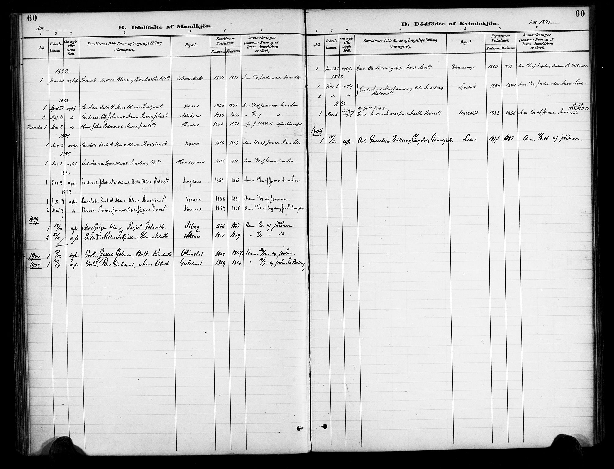 Gjerstad sokneprestkontor, AV/SAK-1111-0014/F/Fa/Fab/L0005: Parish register (official) no. A 5, 1891-1908, p. 60
