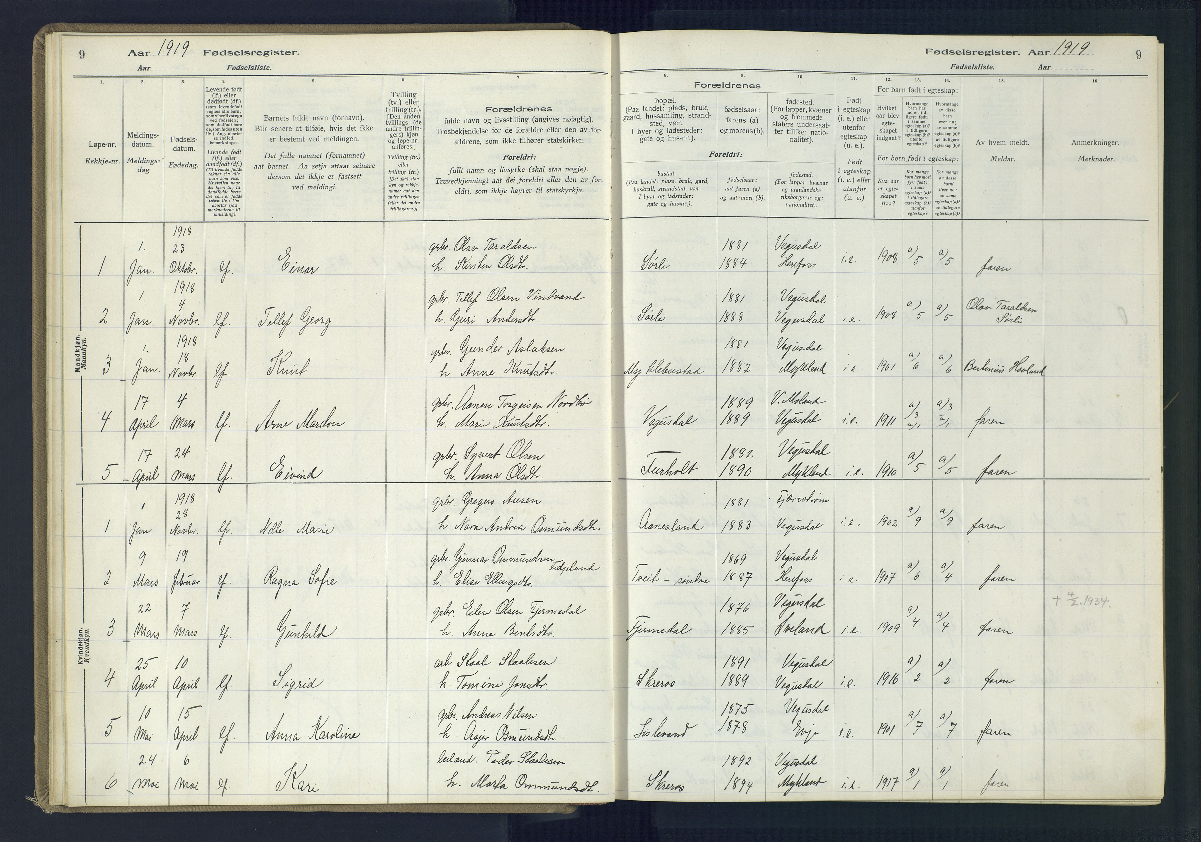 Herefoss sokneprestkontor, SAK/1111-0019/J/Ja/L0002: Birth register no. II.6.11, 1916-1982, p. 9