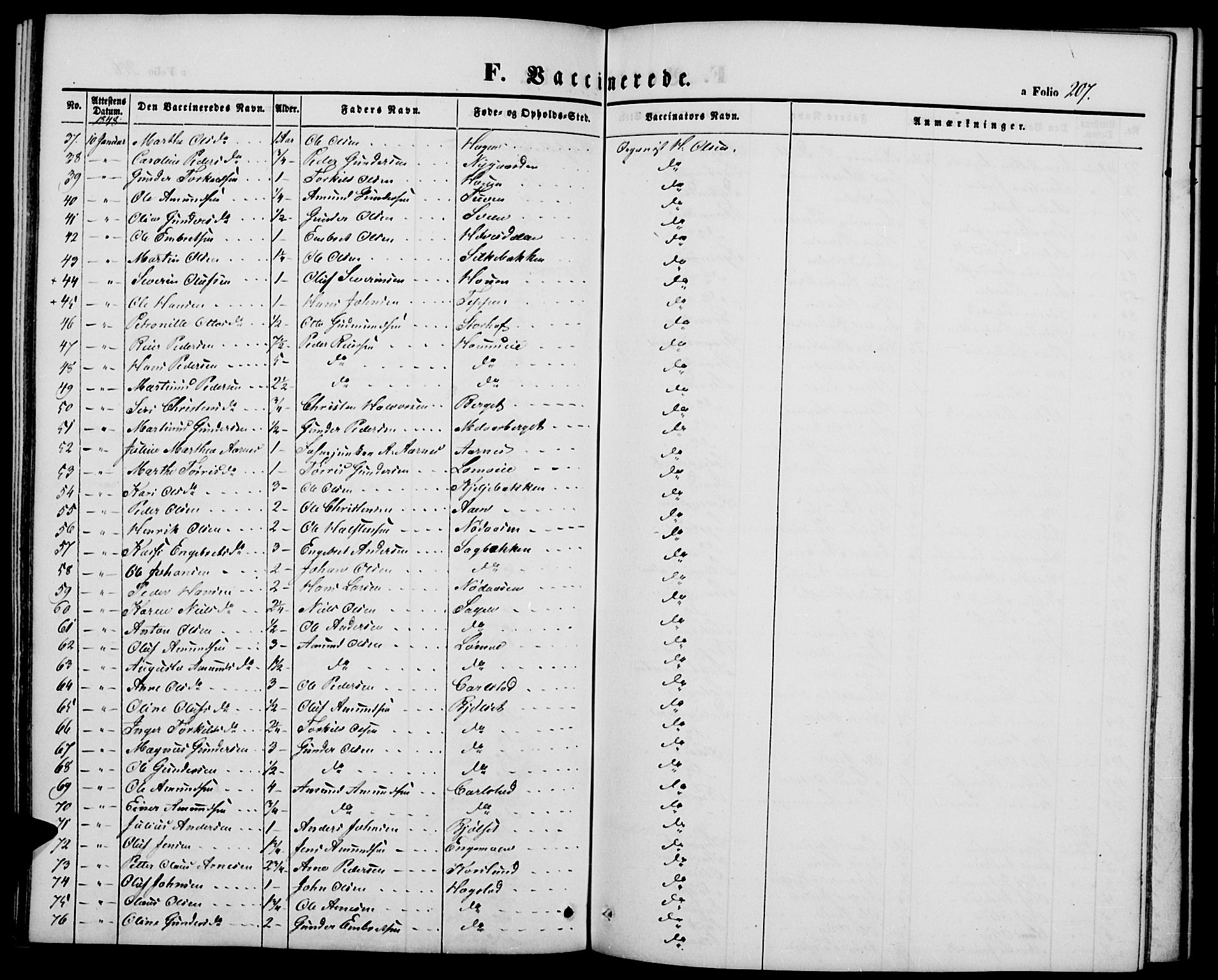 Elverum prestekontor, SAH/PREST-044/H/Ha/Hab/L0002: Parish register (copy) no. 2, 1845-1855, p. 207