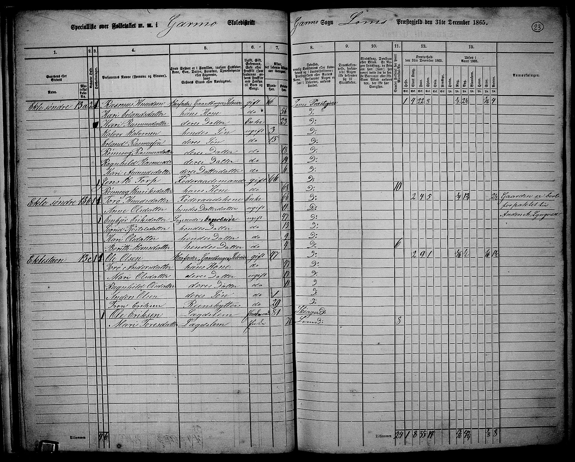 RA, 1865 census for Lom, 1865, p. 21