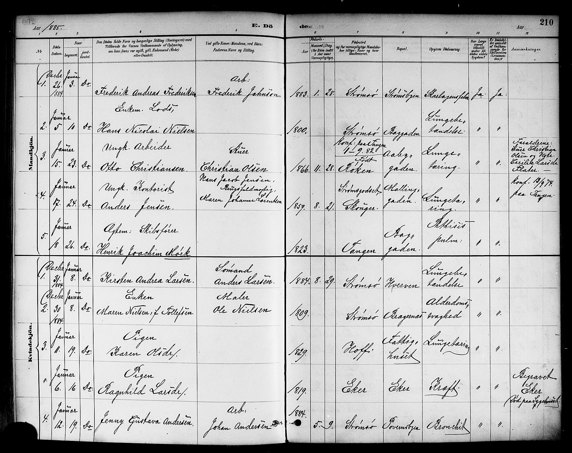 Strømsø kirkebøker, AV/SAKO-A-246/F/Fa/L0023: Parish register (official) no. I 23, 1885-1894, p. 210
