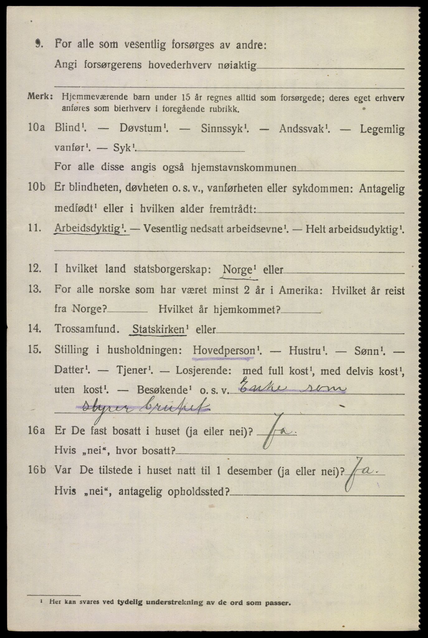 SAKO, 1920 census for Hemsedal, 1920, p. 981