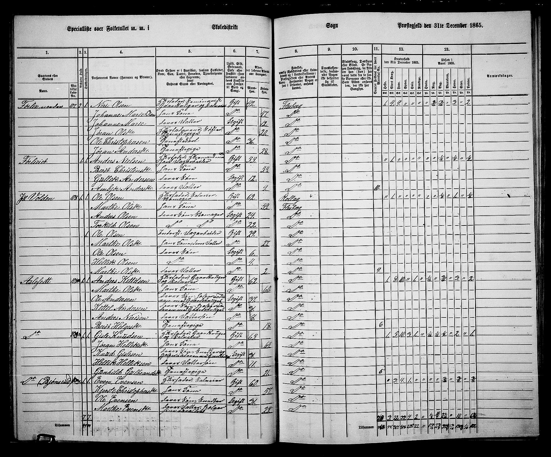 RA, 1865 census for Flesberg, 1865, p. 29