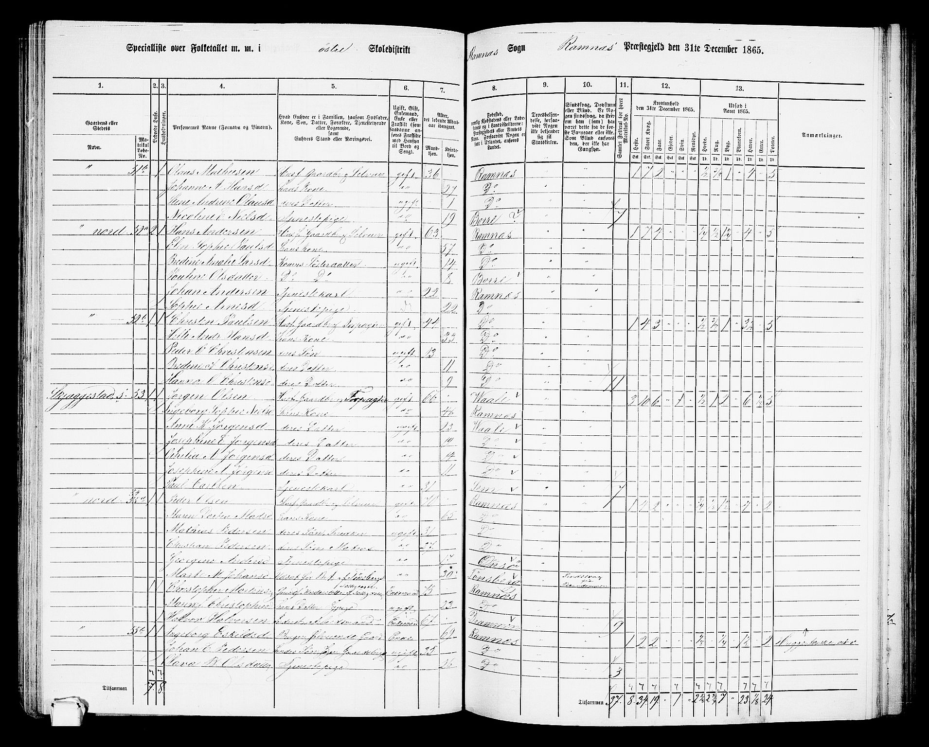 RA, 1865 census for Ramnes, 1865, p. 50