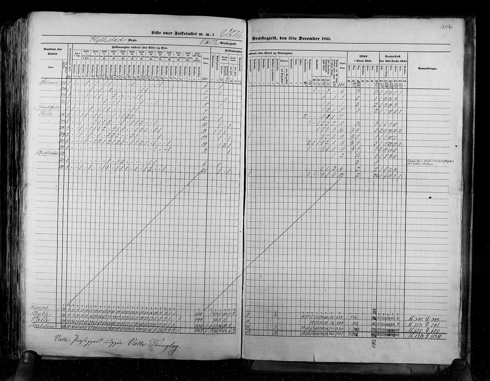 RA, Census 1845, vol. 5: Bratsberg amt og Nedenes og Råbyggelaget amt, 1845, p. 404