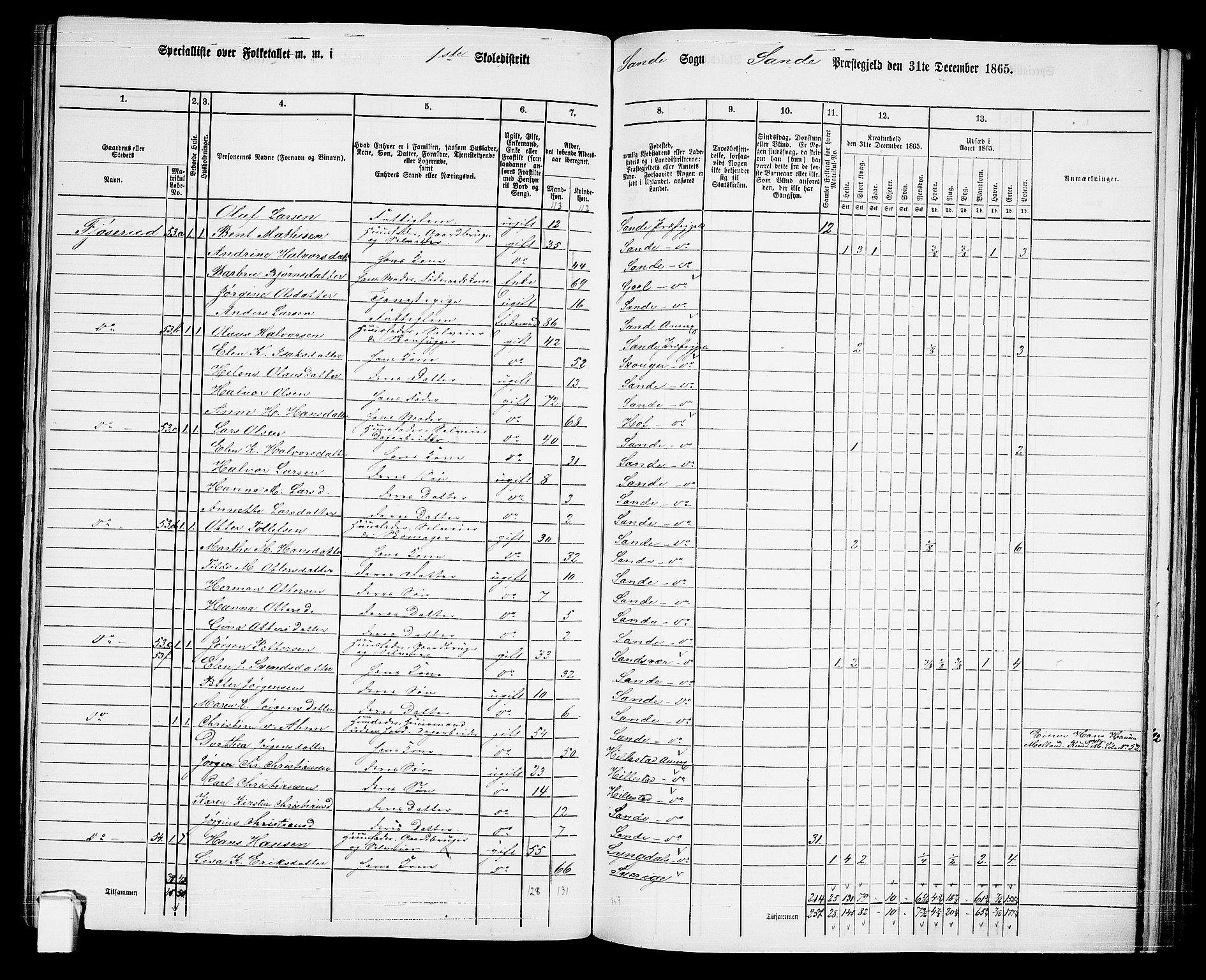 RA, 1865 census for Sande, 1865, p. 29