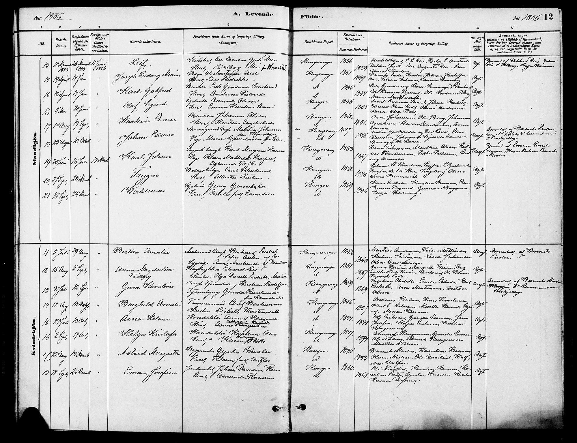 Vinger prestekontor, AV/SAH-PREST-024/H/Ha/Haa/L0013: Parish register (official) no. 13, 1881-1897, p. 12