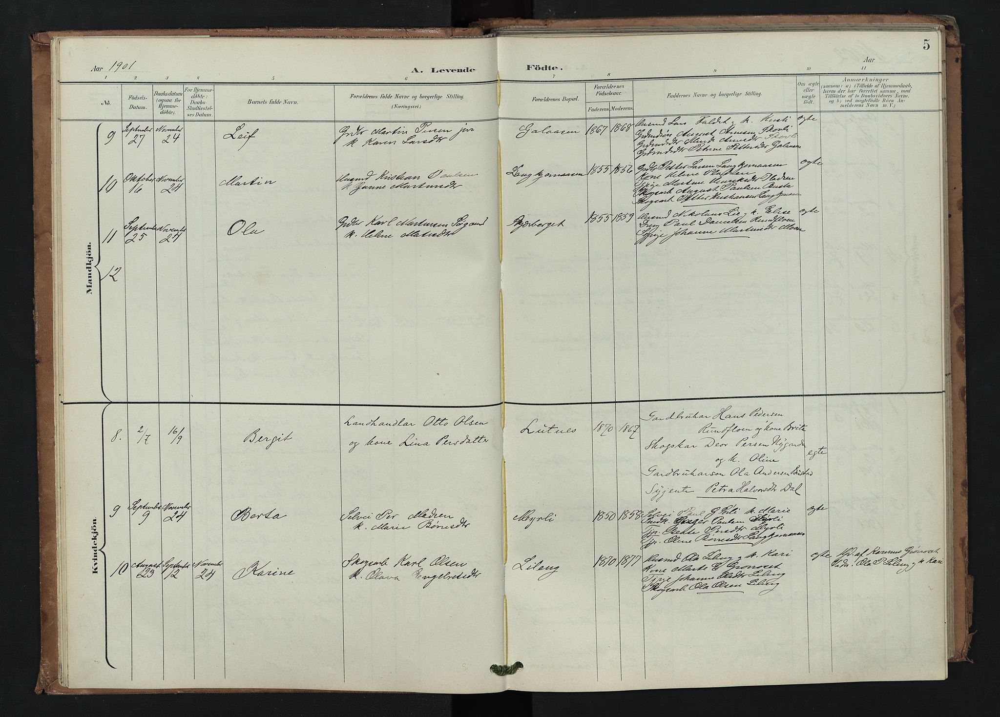 Trysil prestekontor, AV/SAH-PREST-046/H/Ha/Hab/L0008: Parish register (copy) no. 8, 1900-1950, p. 5