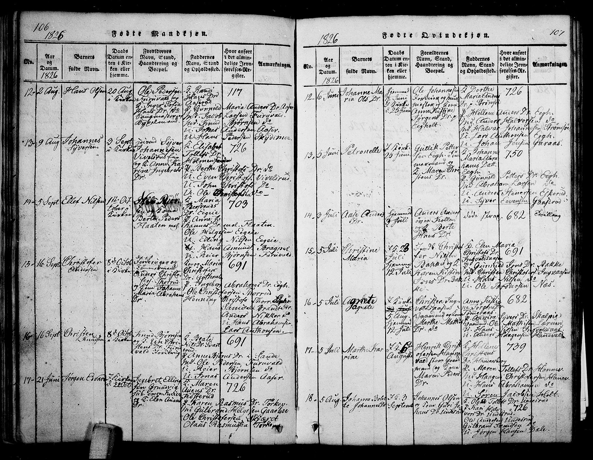 Skoger kirkebøker, AV/SAKO-A-59/G/Ga/L0001: Parish register (copy) no. I 1, 1814-1845, p. 106-107