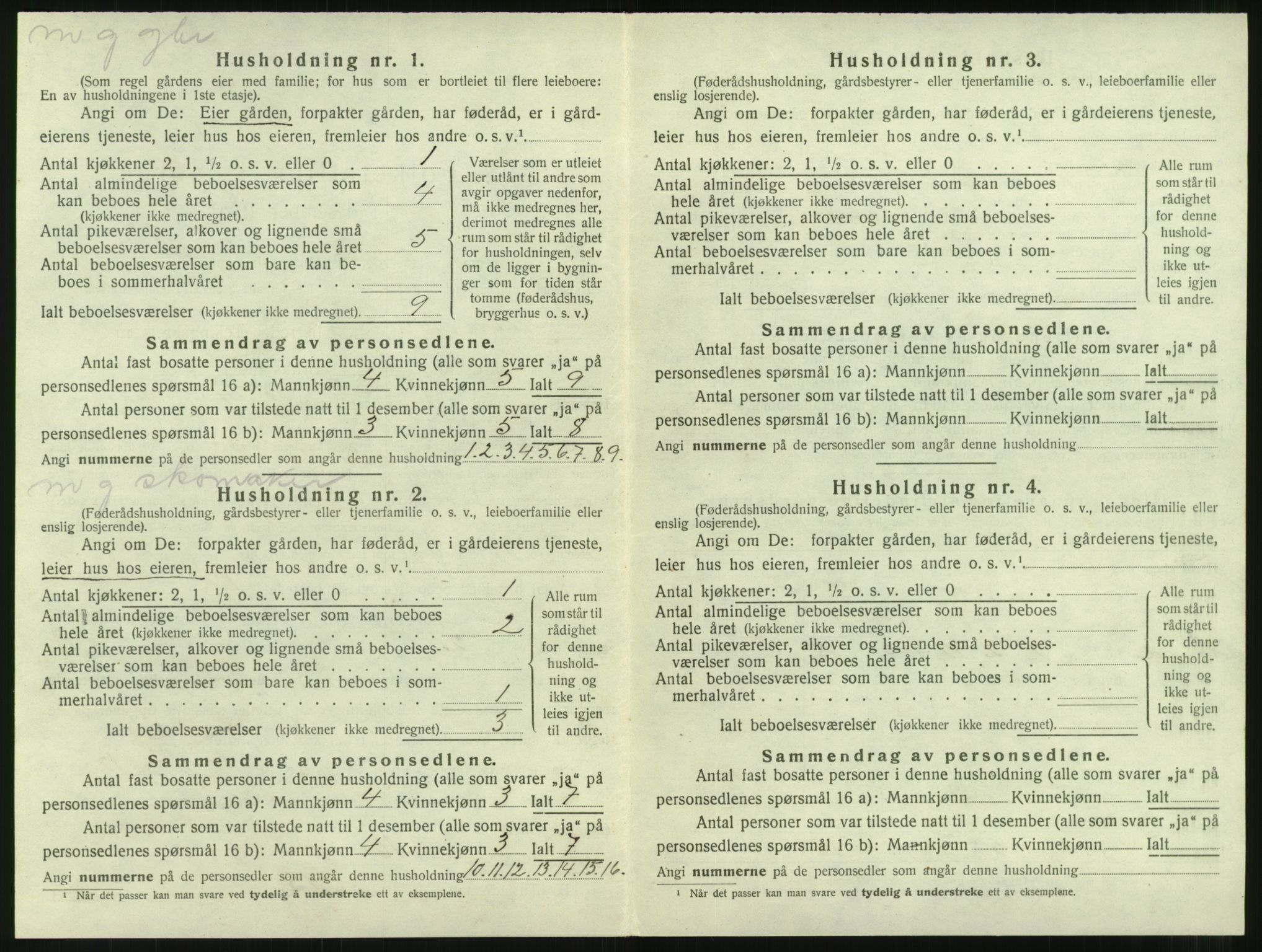 SAT, 1920 census for Nesset, 1920, p. 163