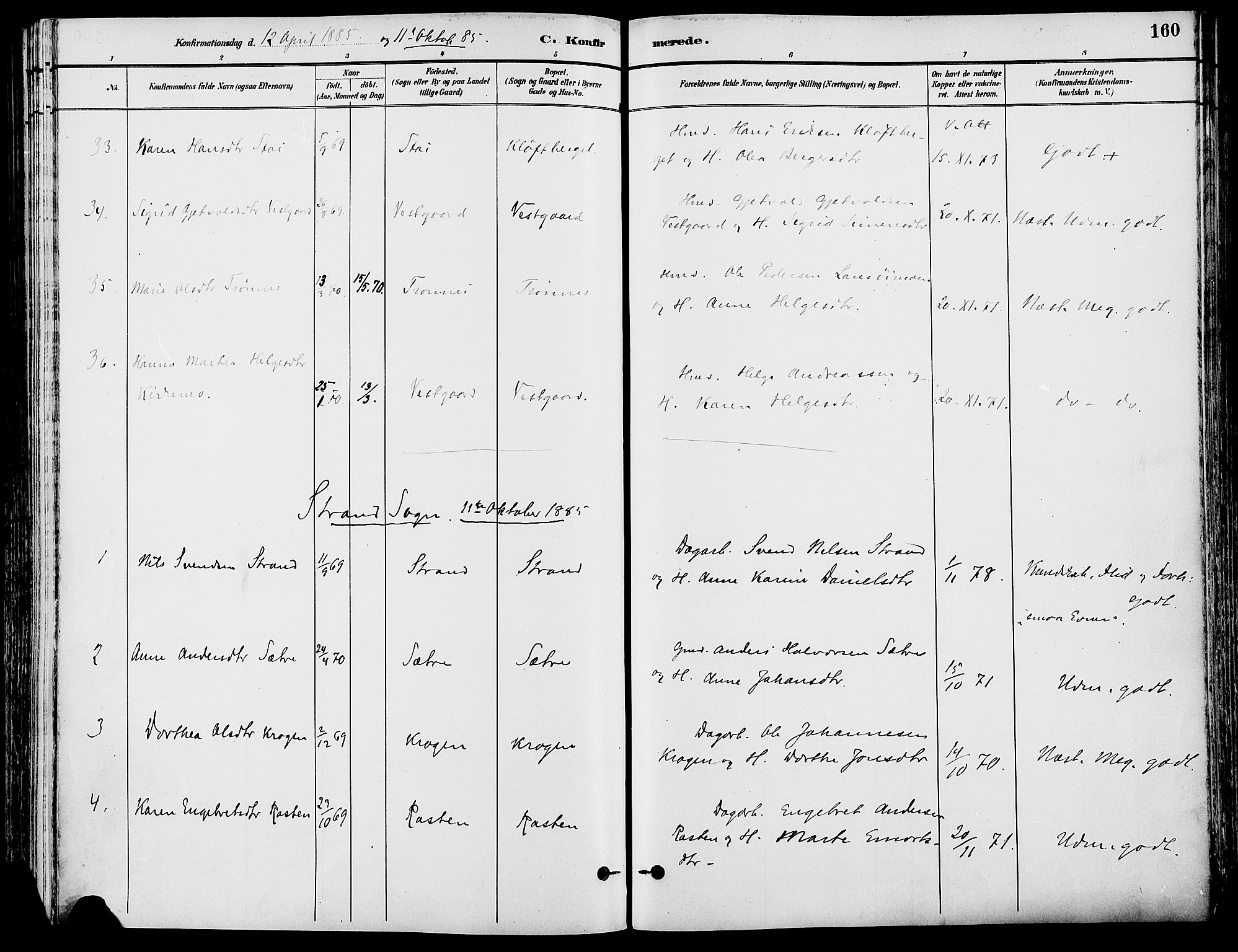 Stor-Elvdal prestekontor, SAH/PREST-052/H/Ha/Haa/L0002: Parish register (official) no. 2, 1882-1907, p. 160