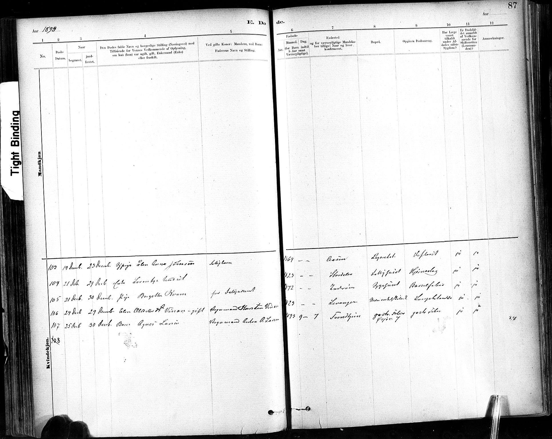 Ministerialprotokoller, klokkerbøker og fødselsregistre - Sør-Trøndelag, AV/SAT-A-1456/602/L0120: Parish register (official) no. 602A18, 1880-1913, p. 87