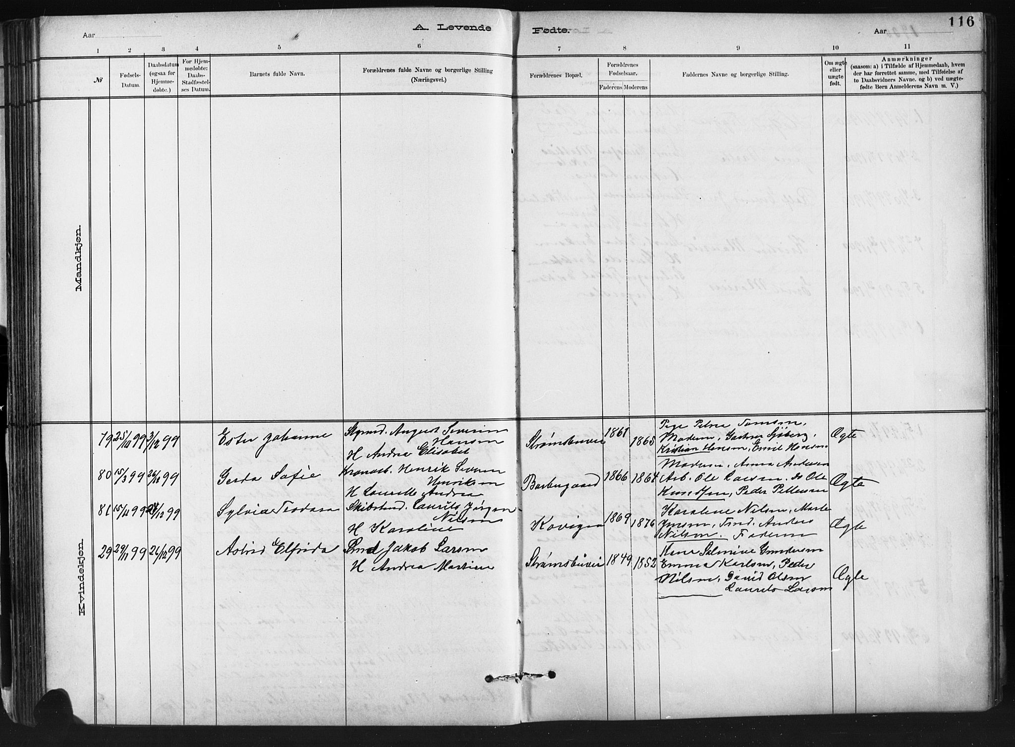 Barbu sokneprestkontor, SAK/1111-0003/F/Fb/L0002: Parish register (copy) no. B 2, 1890-1922, p. 116