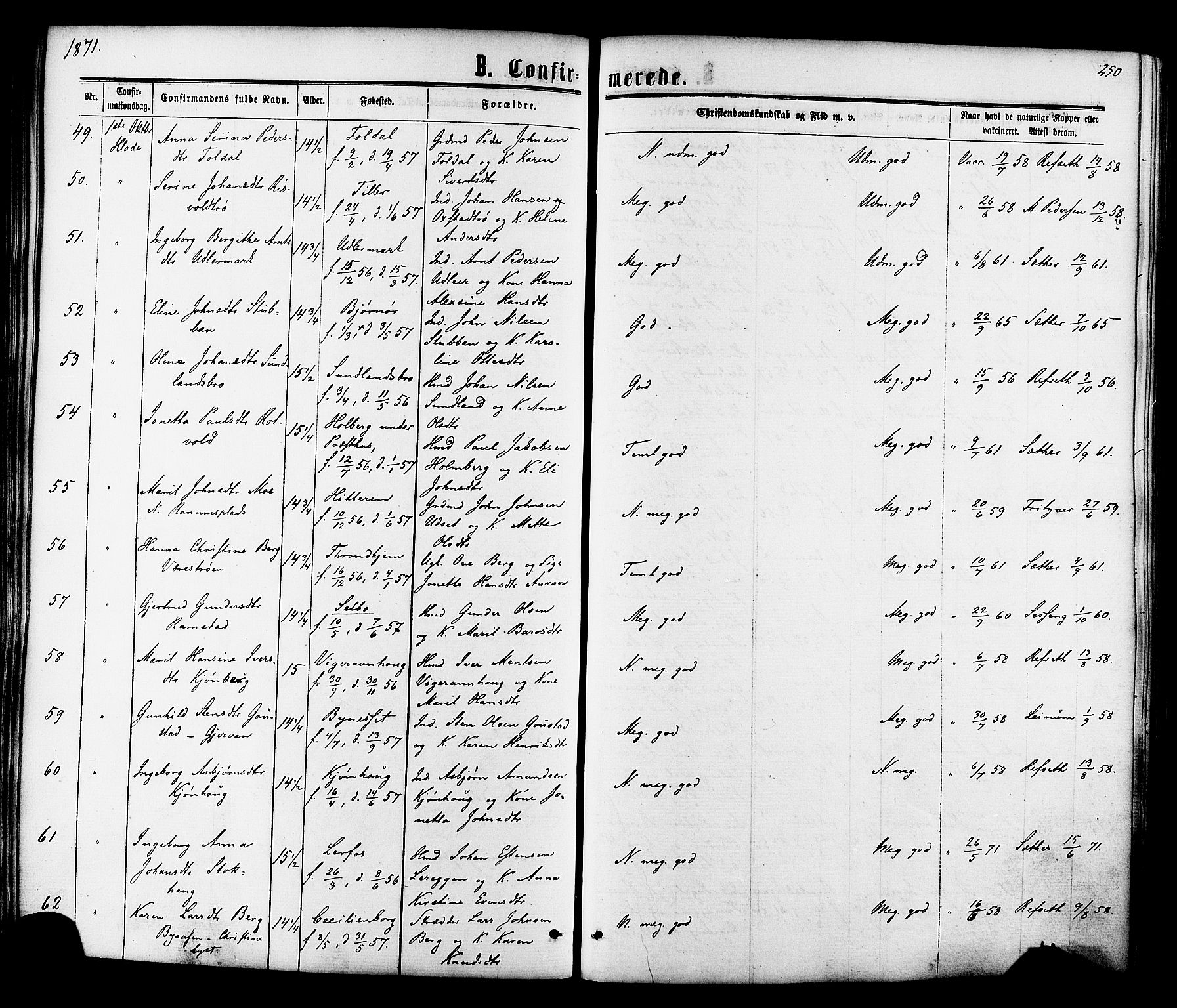 Ministerialprotokoller, klokkerbøker og fødselsregistre - Sør-Trøndelag, AV/SAT-A-1456/606/L0293: Parish register (official) no. 606A08, 1866-1877, p. 250