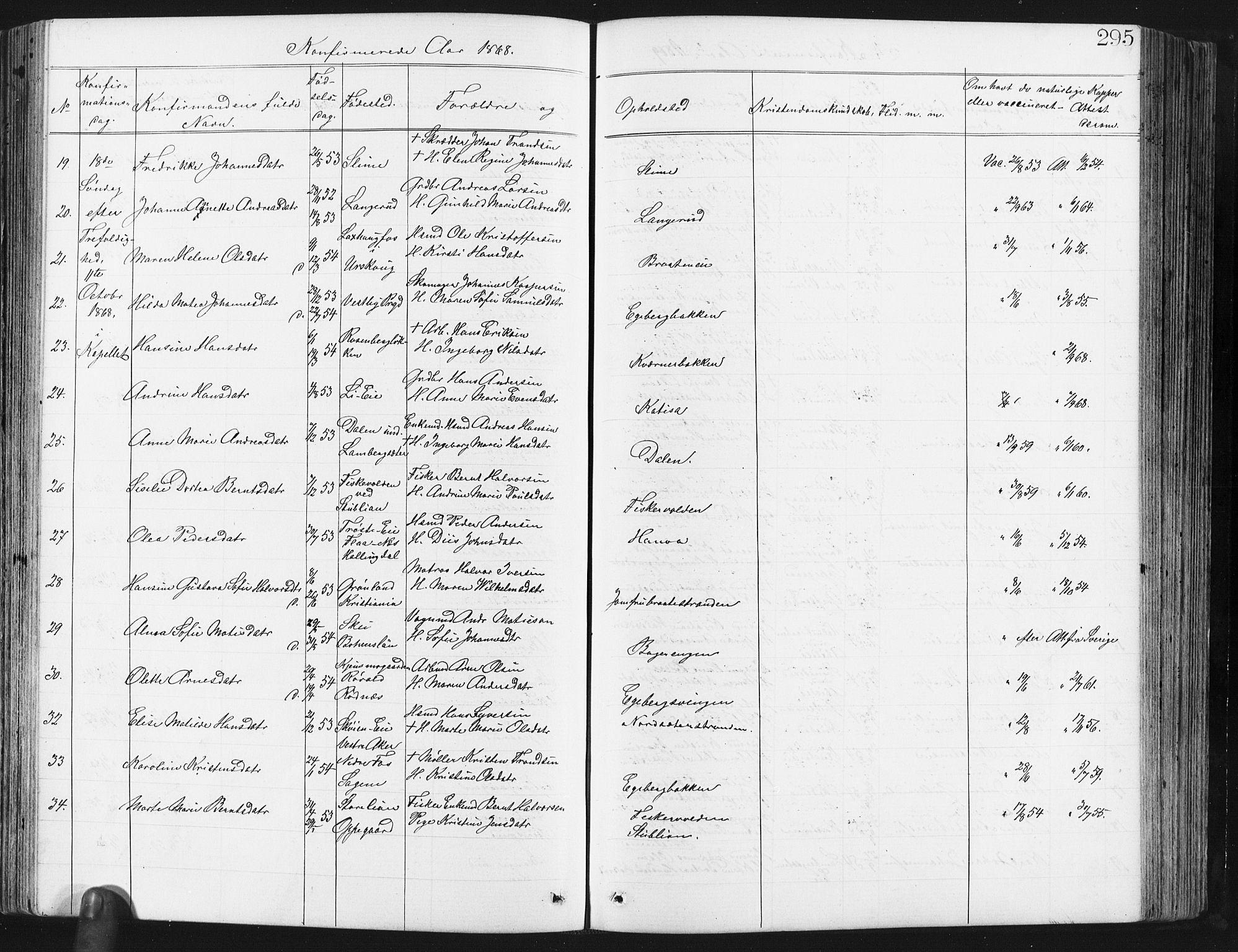 Østre Aker prestekontor Kirkebøker, SAO/A-10840/G/Ga/L0003: Parish register (copy) no. I 3, 1868-1913, p. 295