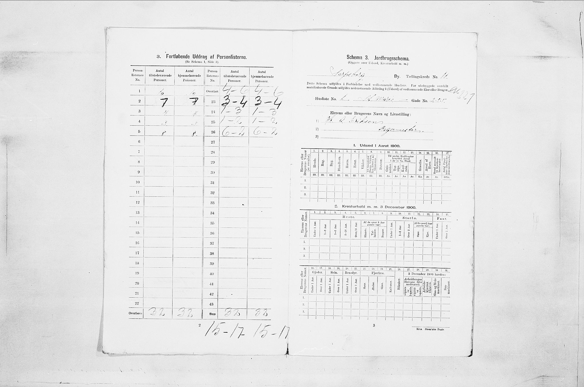 SAO, 1900 census for Sarpsborg, 1900