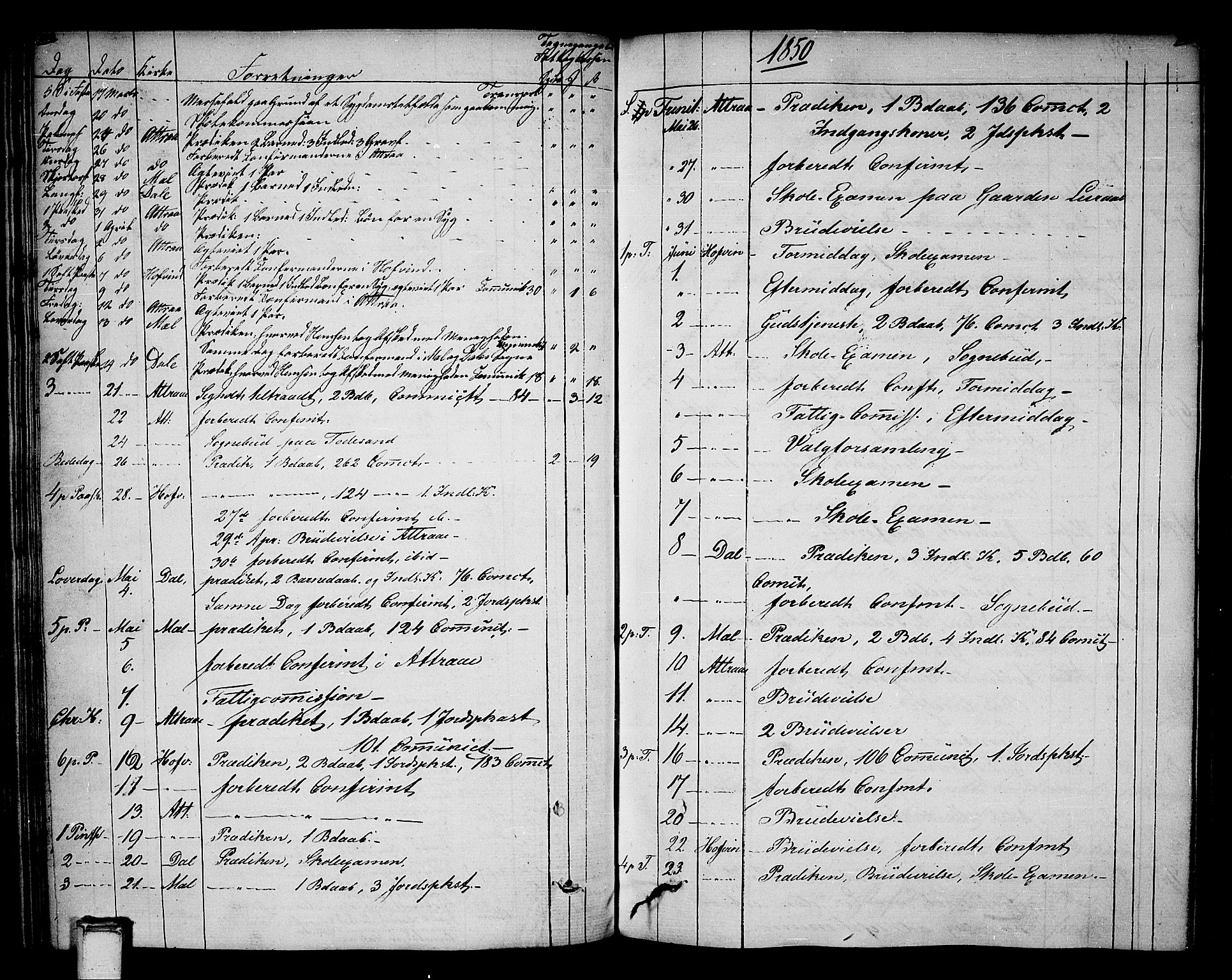 Tinn kirkebøker, SAKO/A-308/F/Fa/L0003: Parish register (official) no. I 3, 1810-1814, p. 204-205