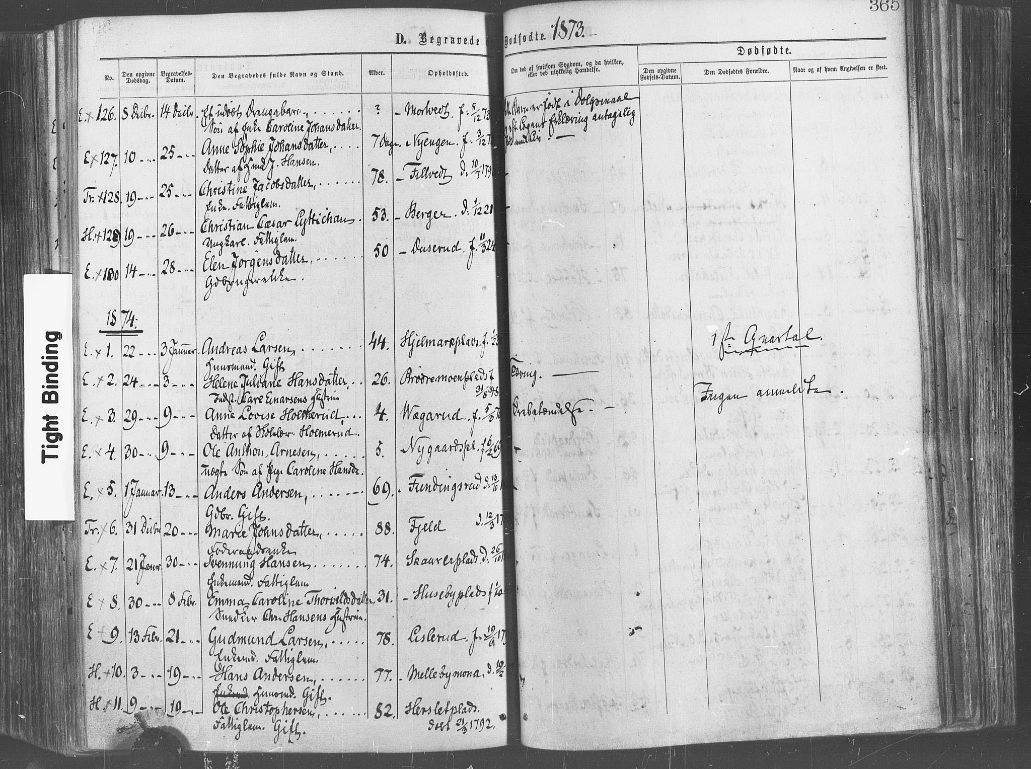 Eidsberg prestekontor Kirkebøker, SAO/A-10905/F/Fa/L0011: Parish register (official) no. I 11, 1867-1878, p. 365
