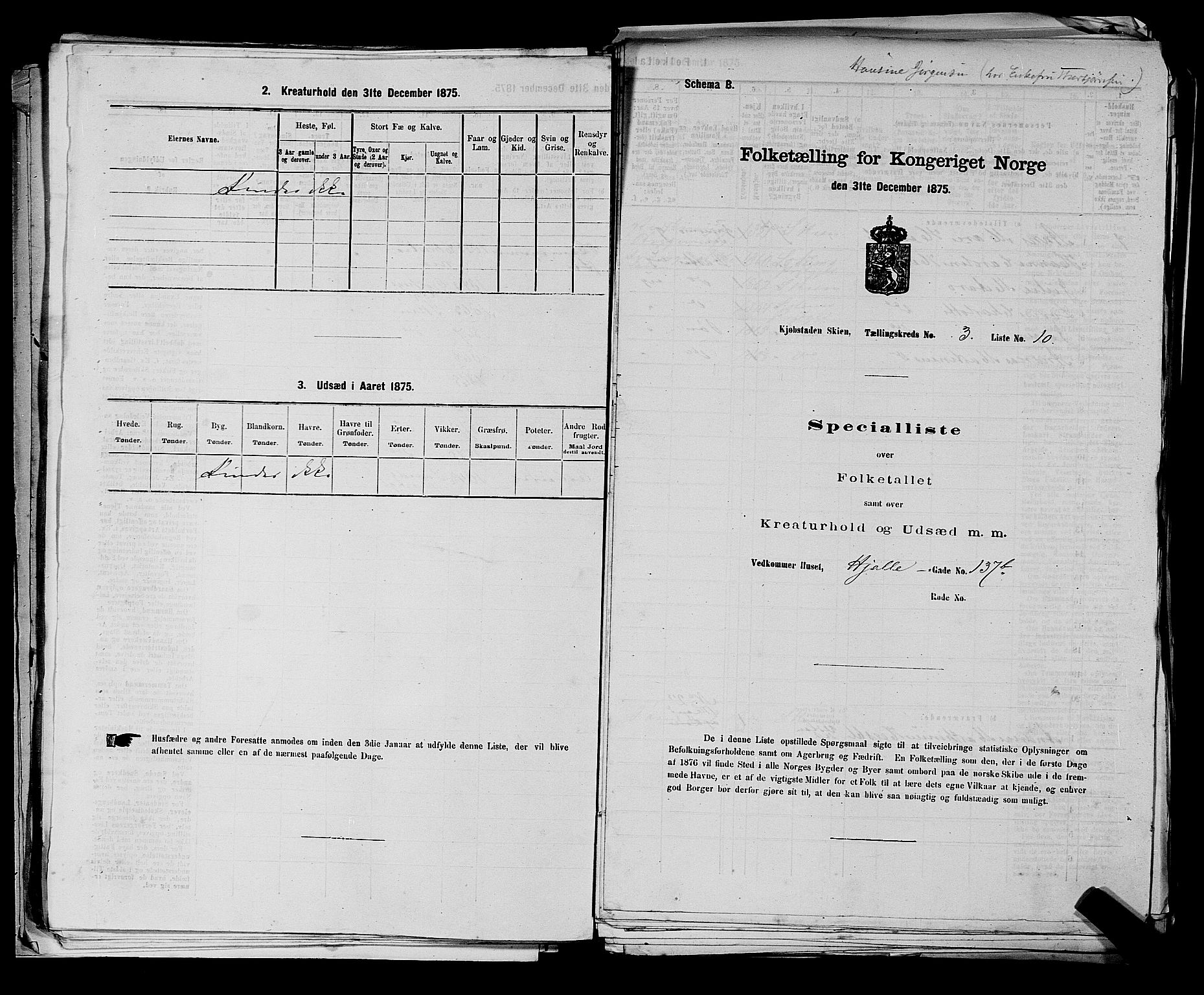 SAKO, 1875 census for 0806P Skien, 1875, p. 485