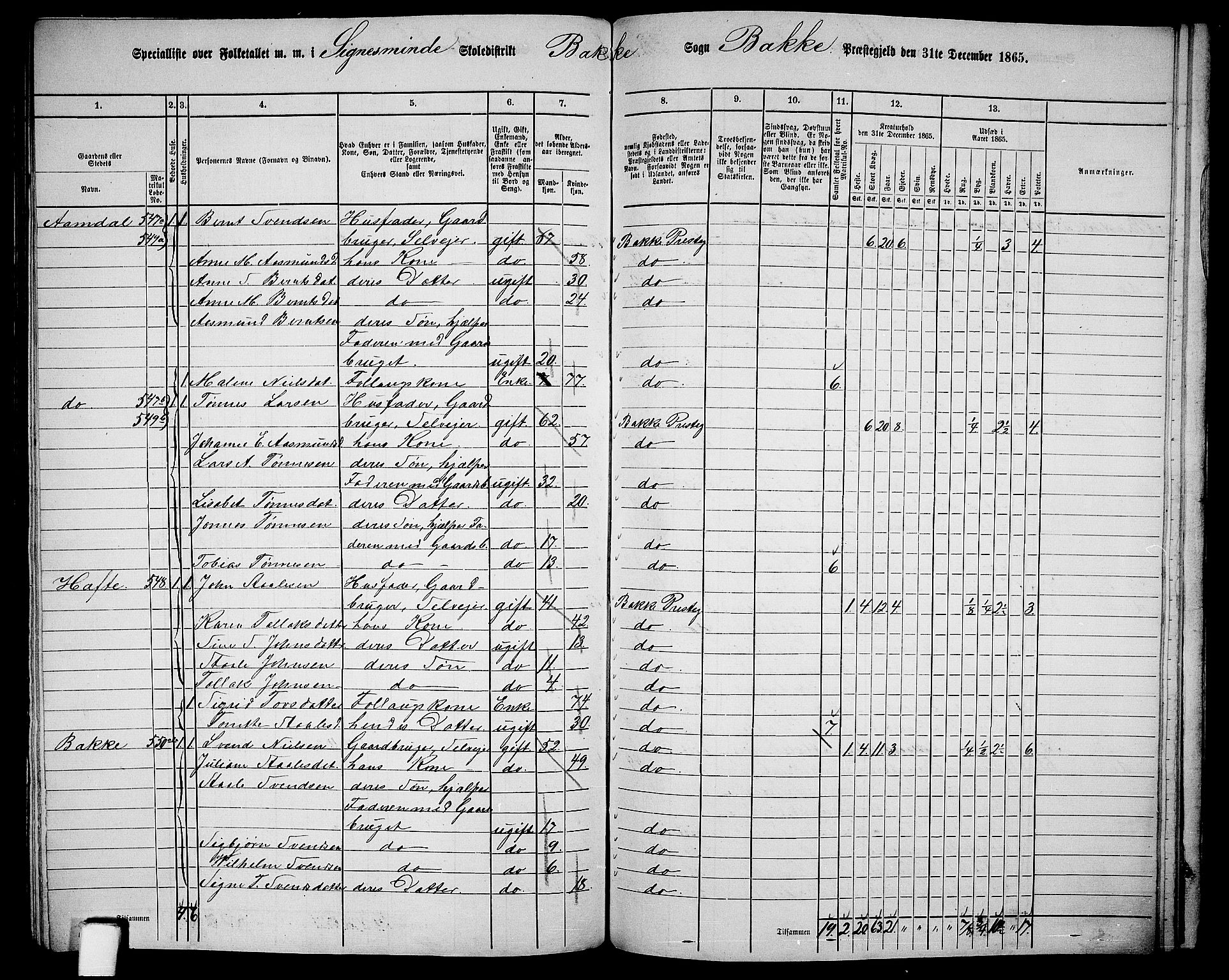 RA, 1865 census for Bakke, 1865, p. 98