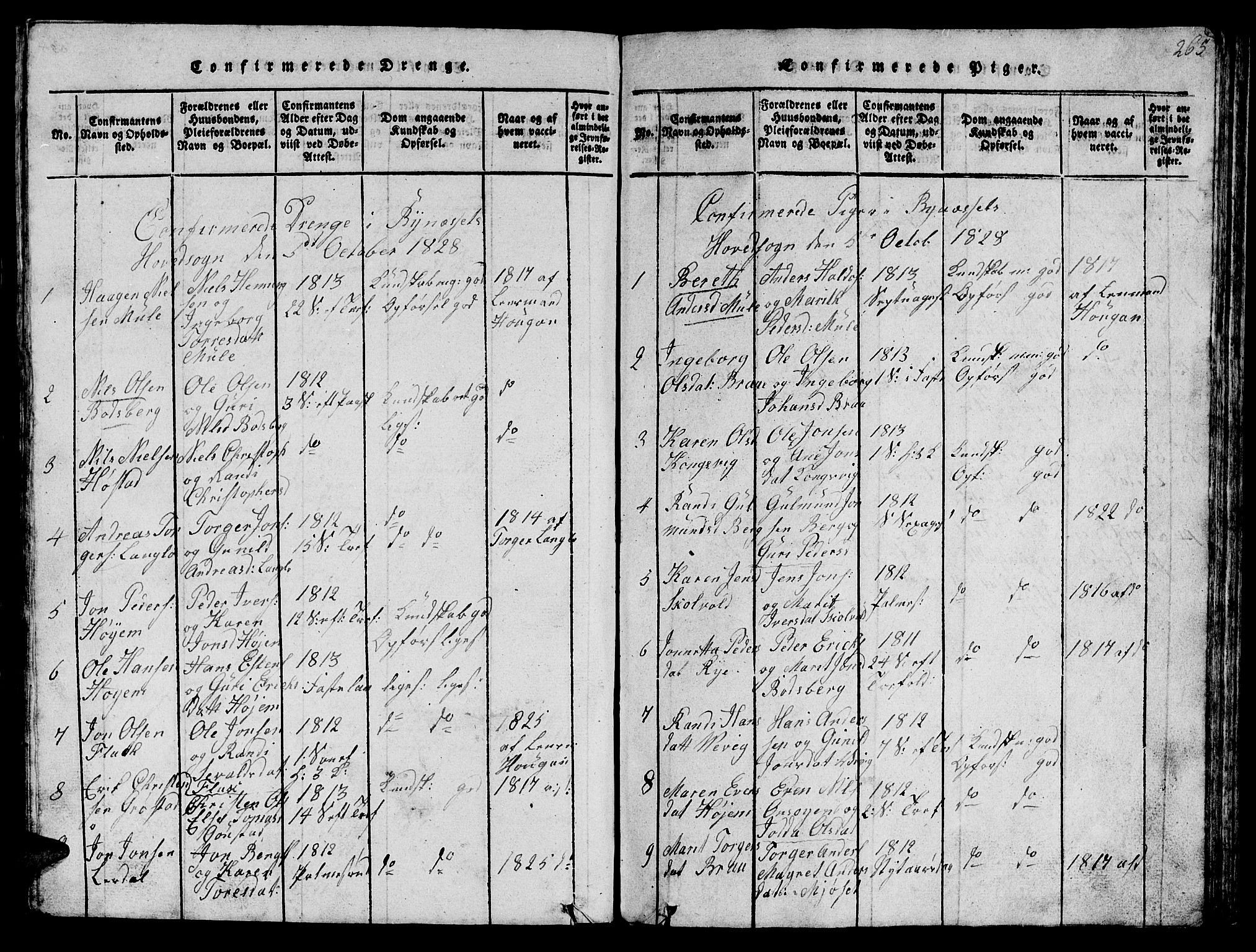 Ministerialprotokoller, klokkerbøker og fødselsregistre - Sør-Trøndelag, SAT/A-1456/612/L0385: Parish register (copy) no. 612C01, 1816-1845, p. 265