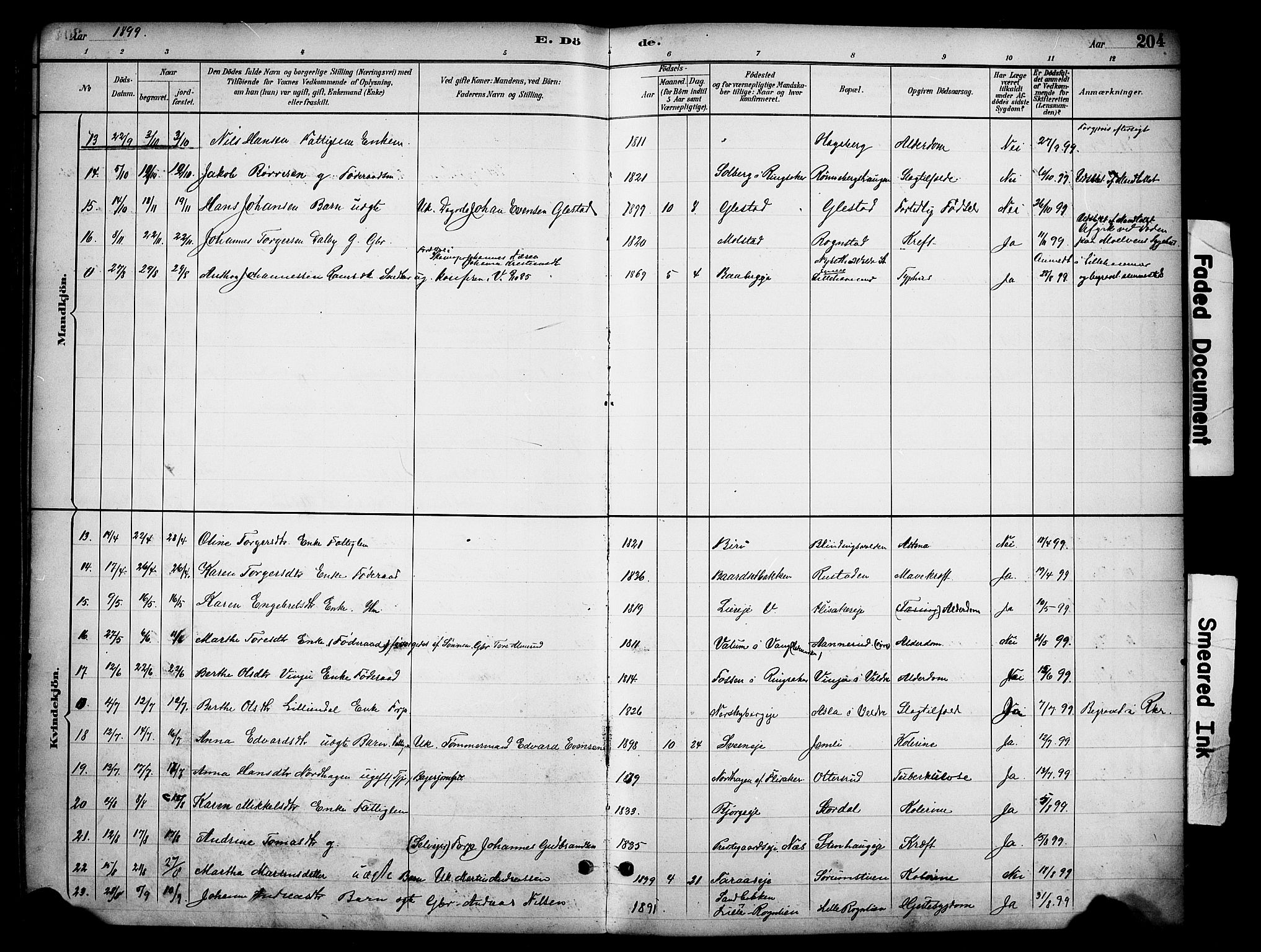 Ringsaker prestekontor, AV/SAH-PREST-014/K/Ka/L0016: Parish register (official) no. 16, 1891-1904, p. 204