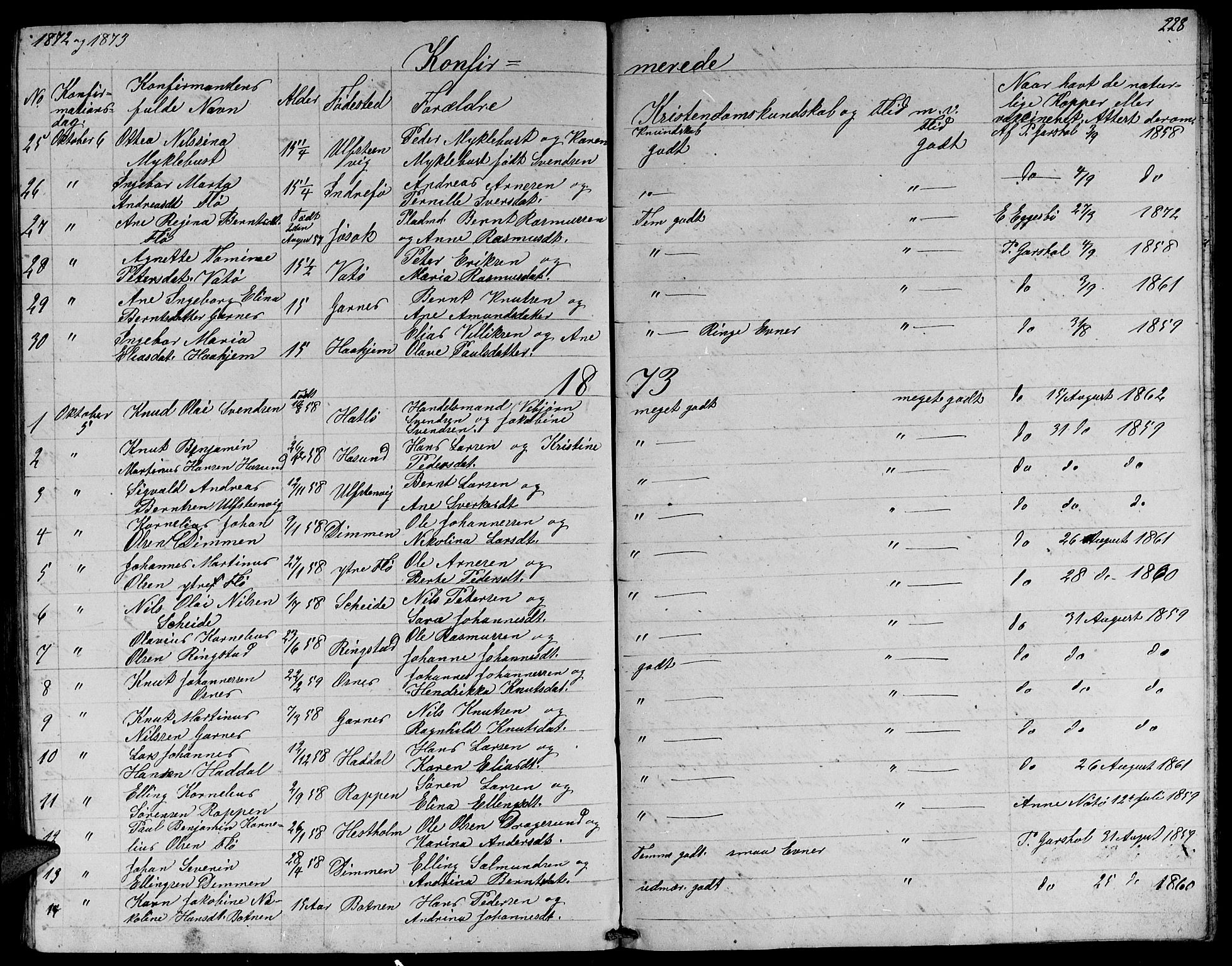 Ministerialprotokoller, klokkerbøker og fødselsregistre - Møre og Romsdal, AV/SAT-A-1454/509/L0111: Parish register (copy) no. 509C01, 1854-1882, p. 228