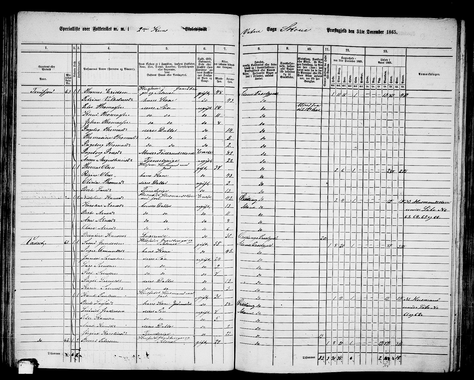 RA, 1865 census for Skodje, 1865, p. 66