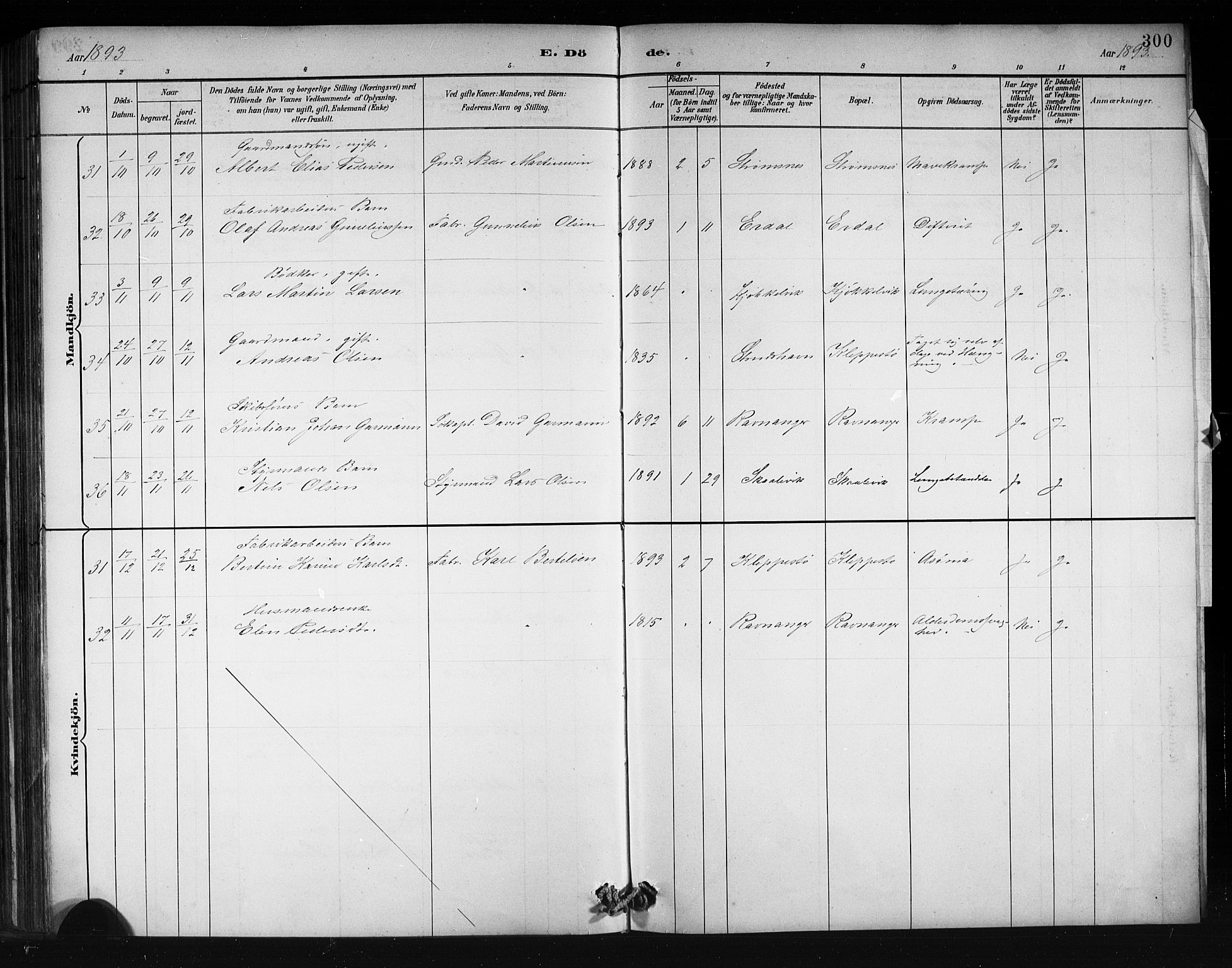 Askøy Sokneprestembete, AV/SAB-A-74101/H/Ha/Hab/Haba/L0008: Parish register (copy) no. A 8, 1882-1893, p. 300