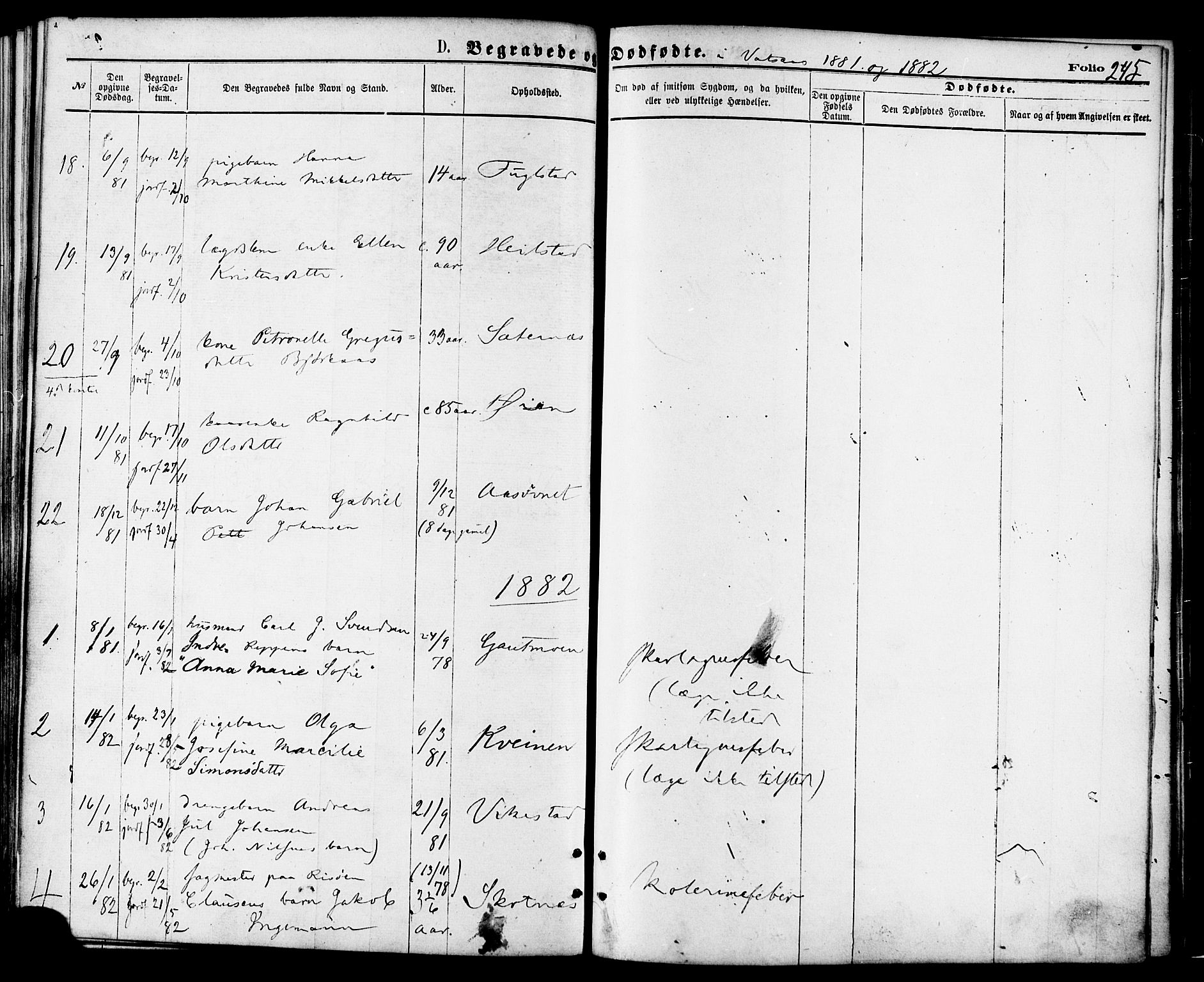 Ministerialprotokoller, klokkerbøker og fødselsregistre - Nordland, AV/SAT-A-1459/810/L0148: Parish register (official) no. 810A09 /1, 1874-1884, p. 245