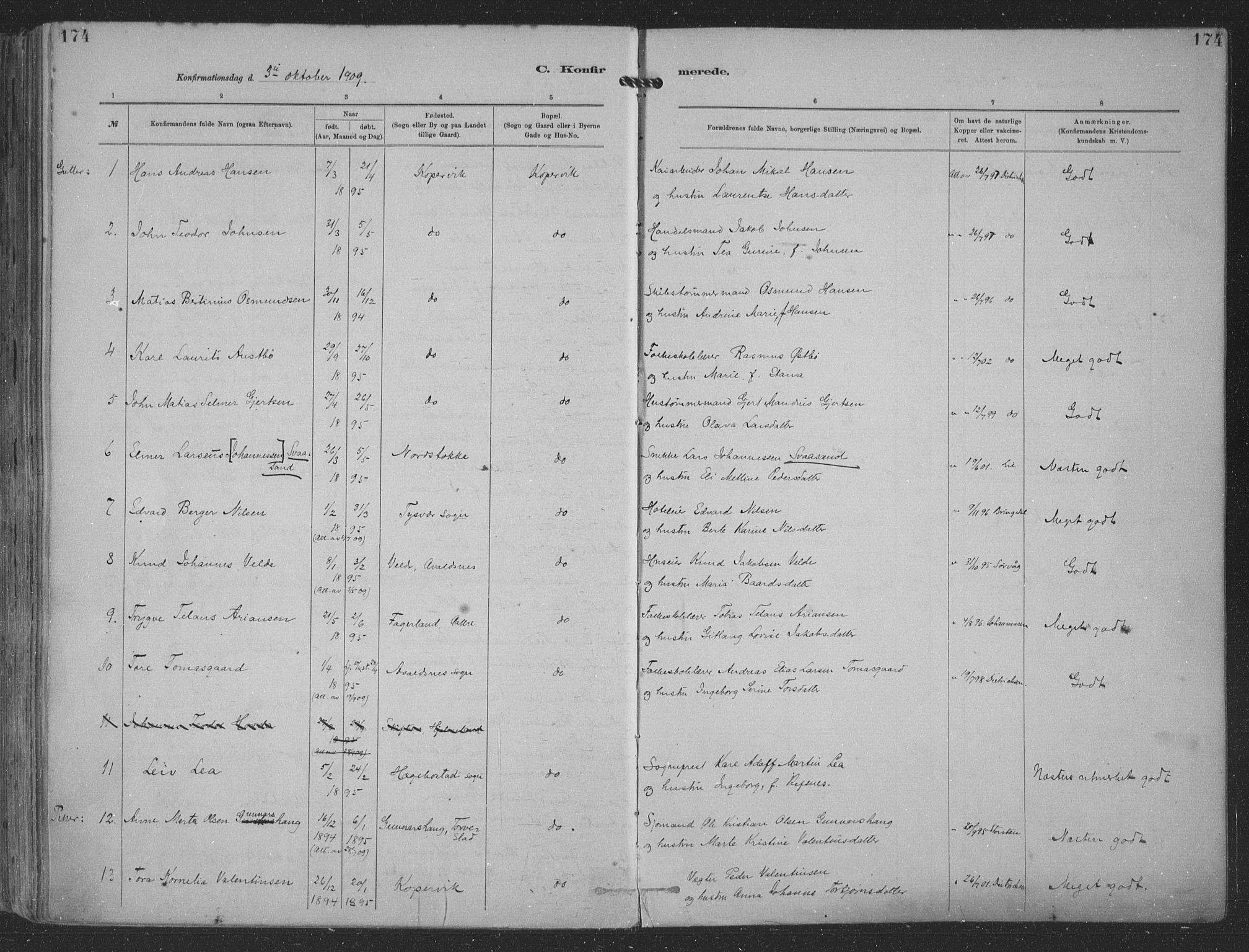 Kopervik sokneprestkontor, SAST/A-101850/H/Ha/Haa/L0001: Parish register (official) no. A 1, 1880-1919, p. 174