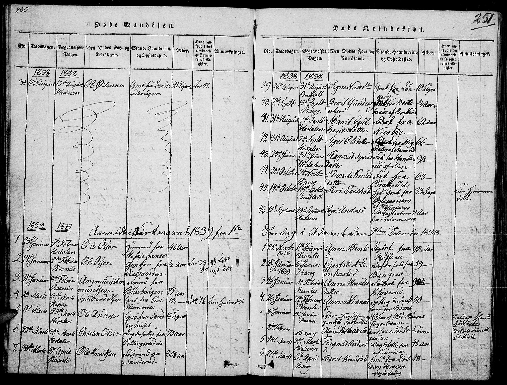 Sør-Aurdal prestekontor, SAH/PREST-128/H/Ha/Hab/L0002: Parish register (copy) no. 2, 1826-1840, p. 250-251